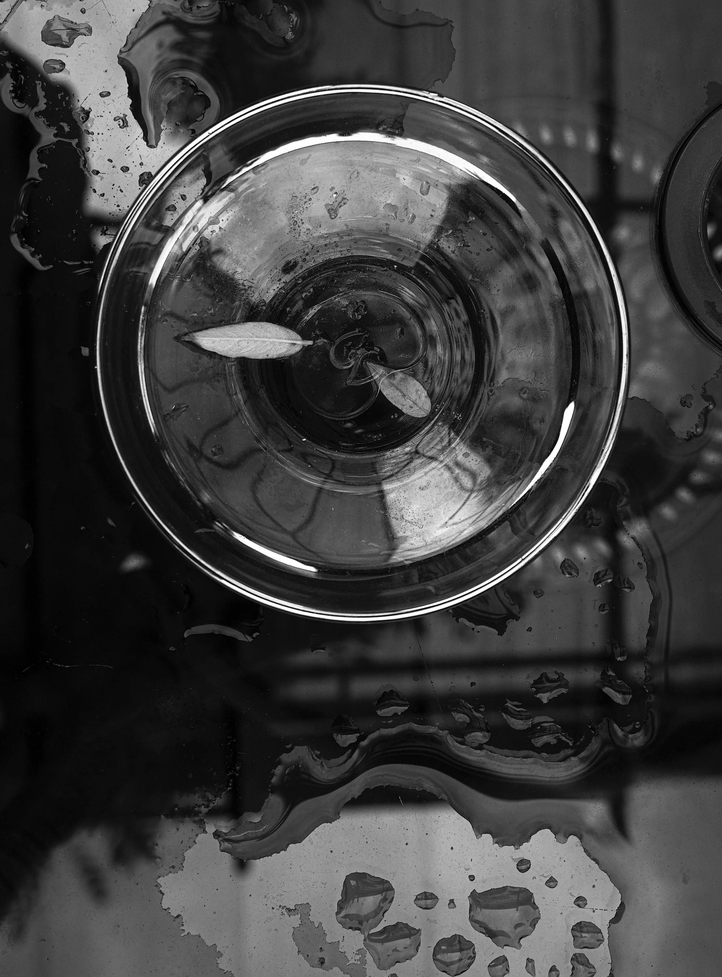 _DSC09611.jpg