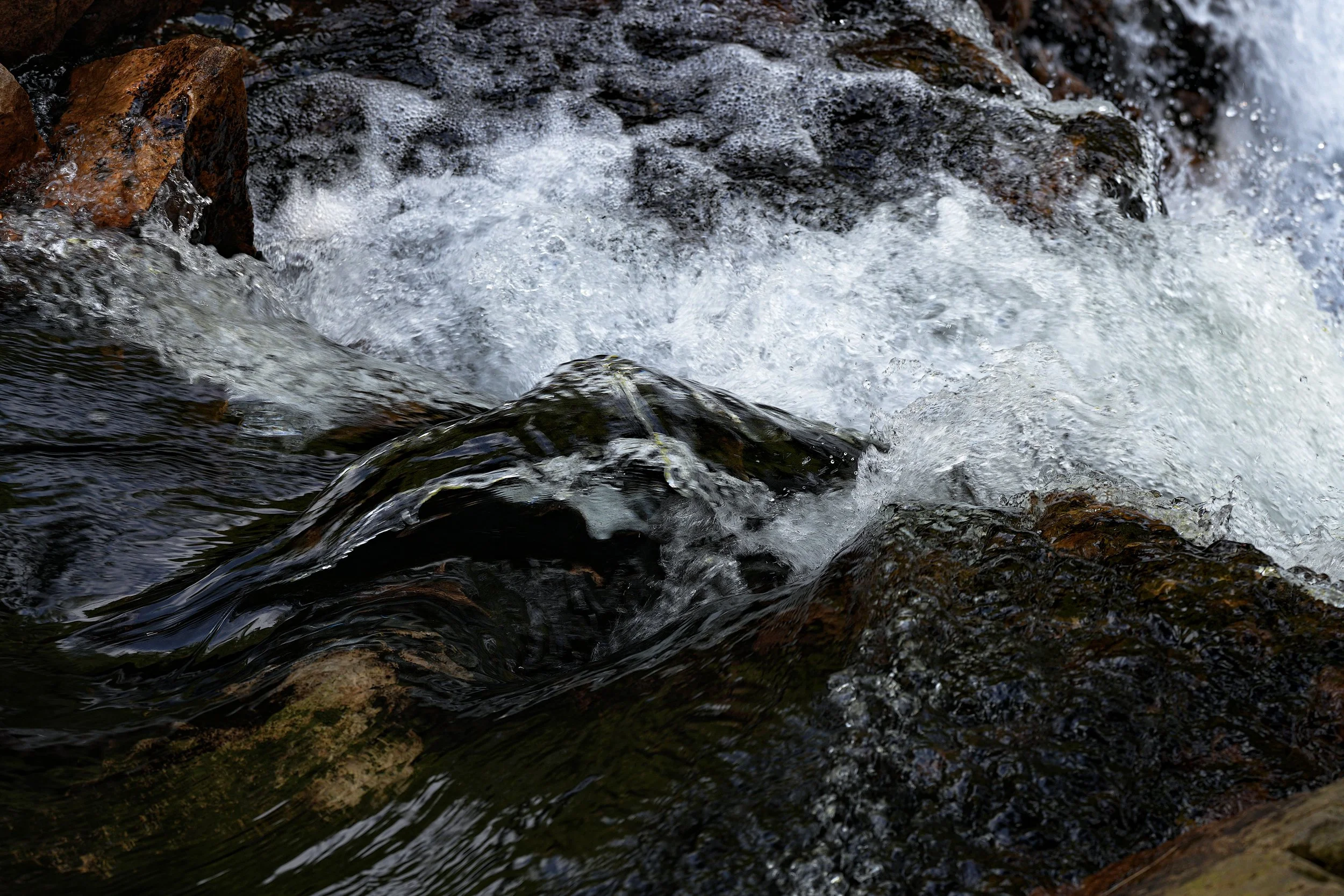 DSC0684
