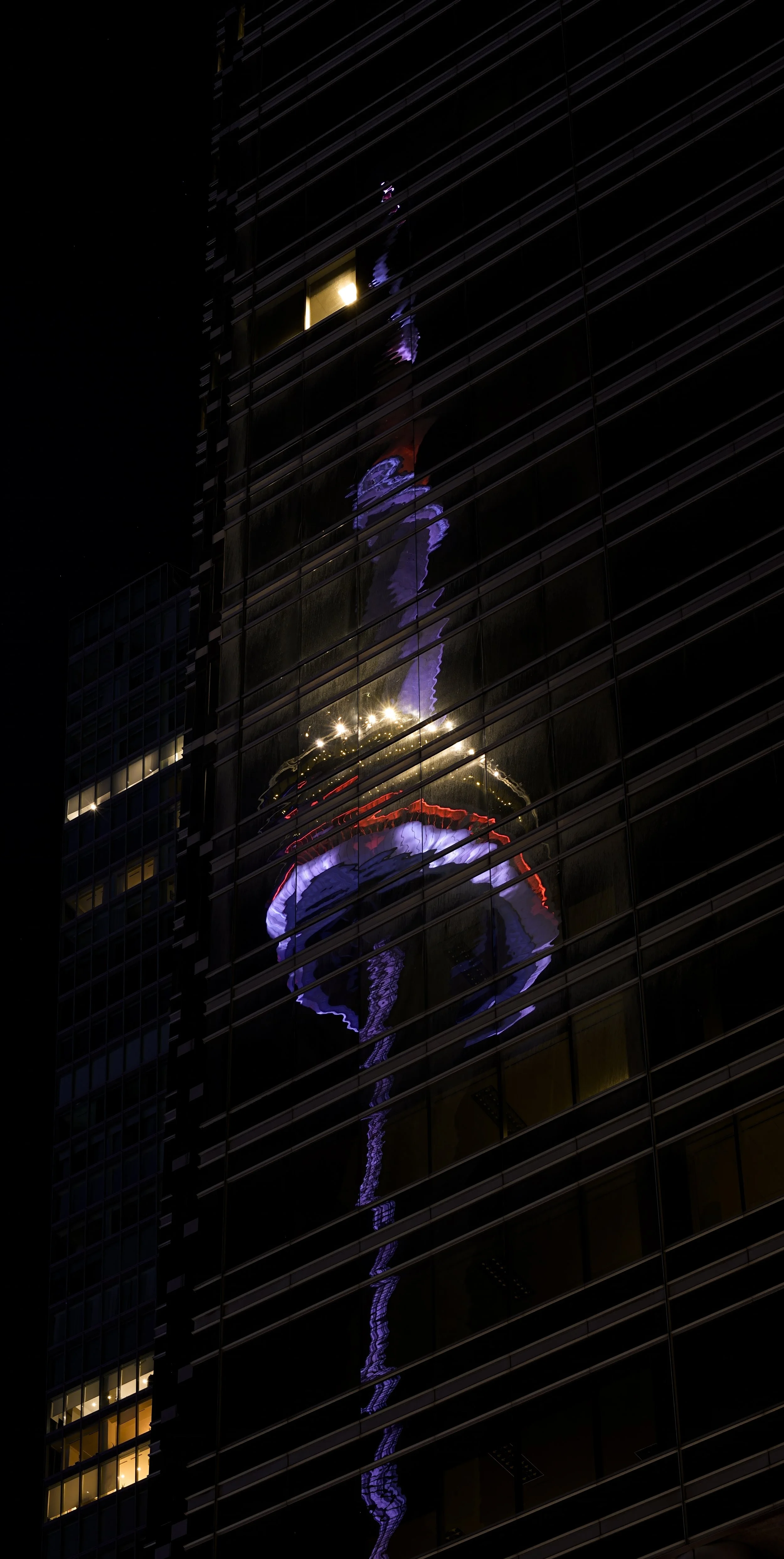 DSC2690