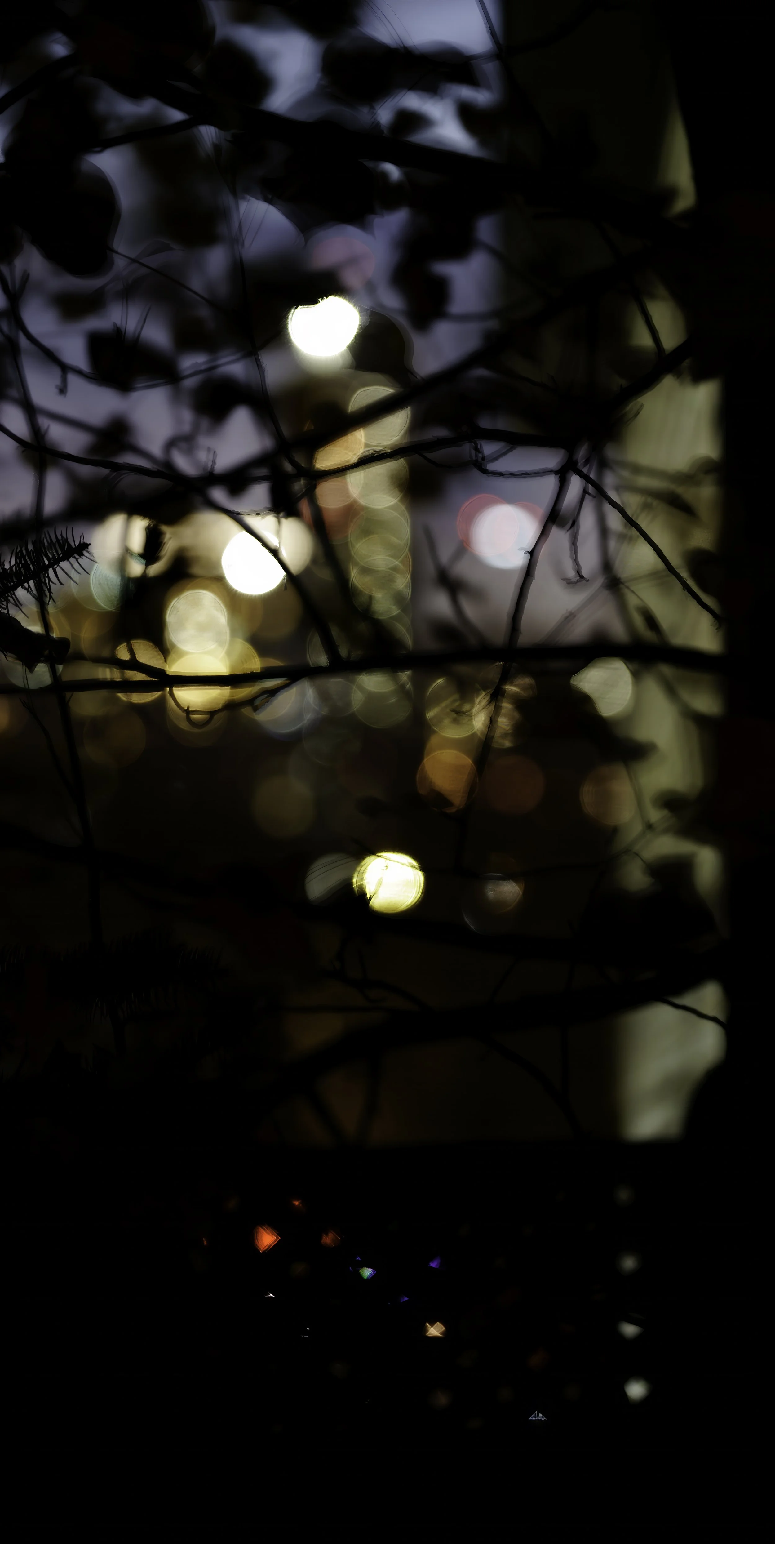 DSC6757-Edit.