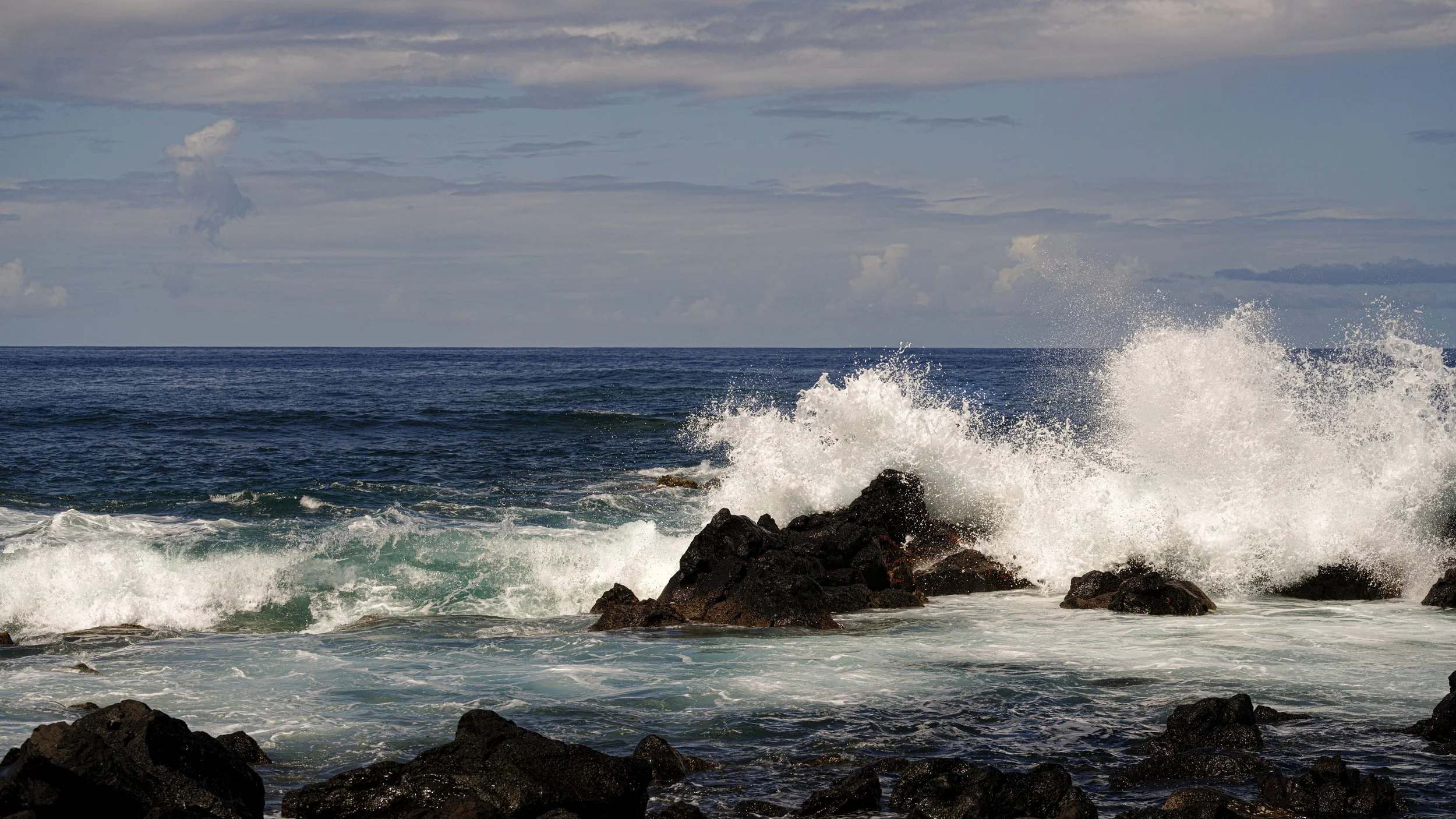 _DSC4567.jpg