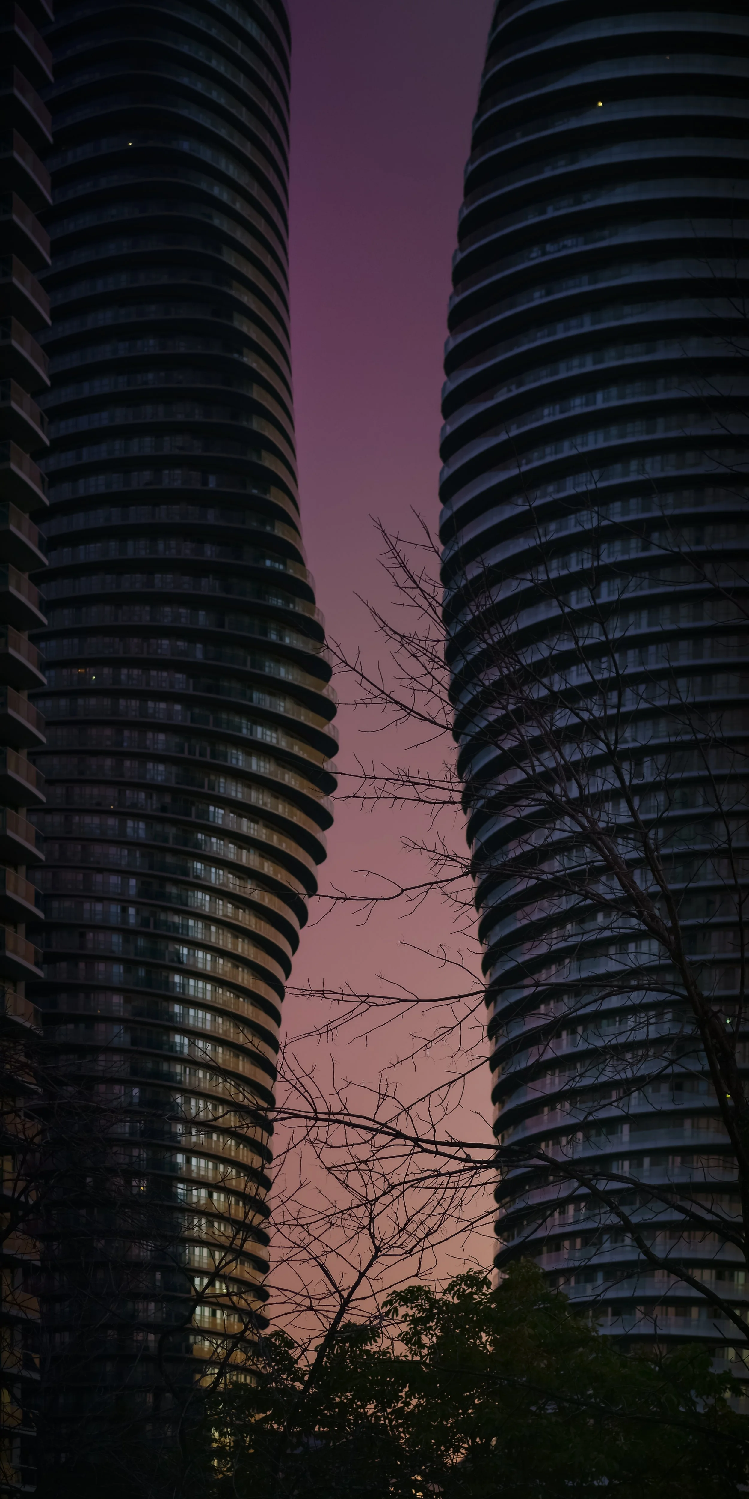 DSC3556