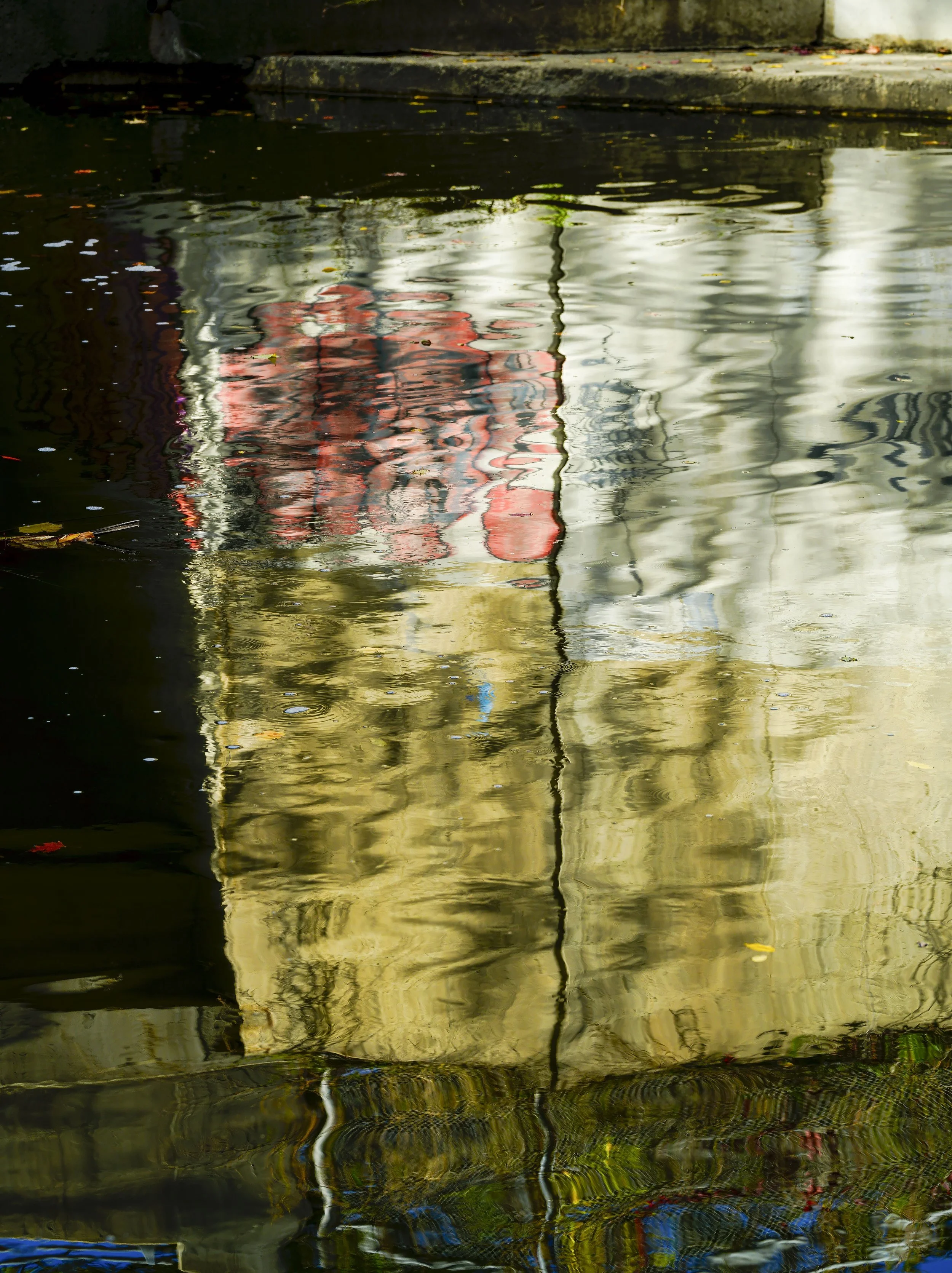 DSC9358