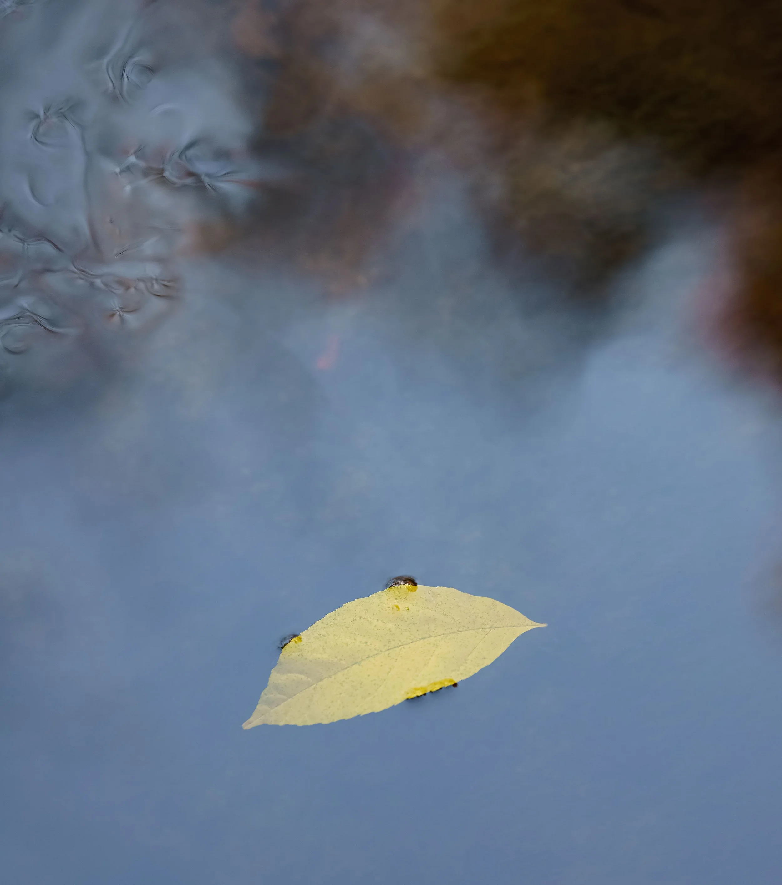 _ED_DSC5851-gigapixel.jpg