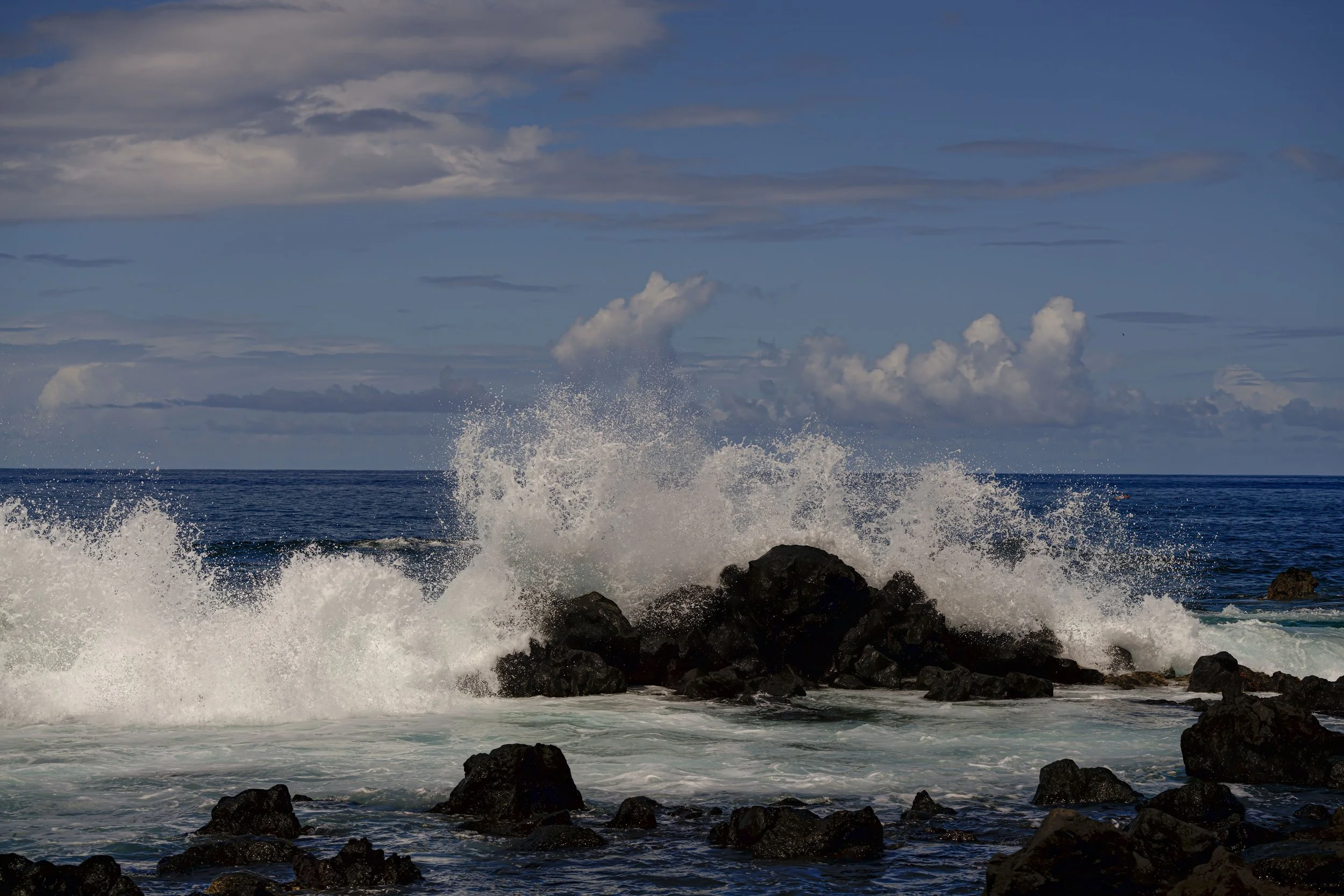 _DSC4589.jpg