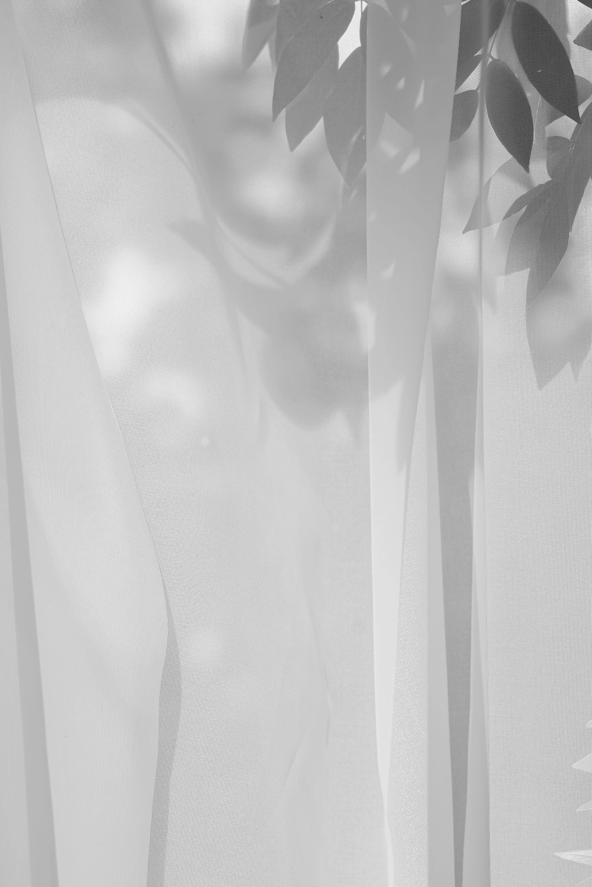DSC06890-2.jpg