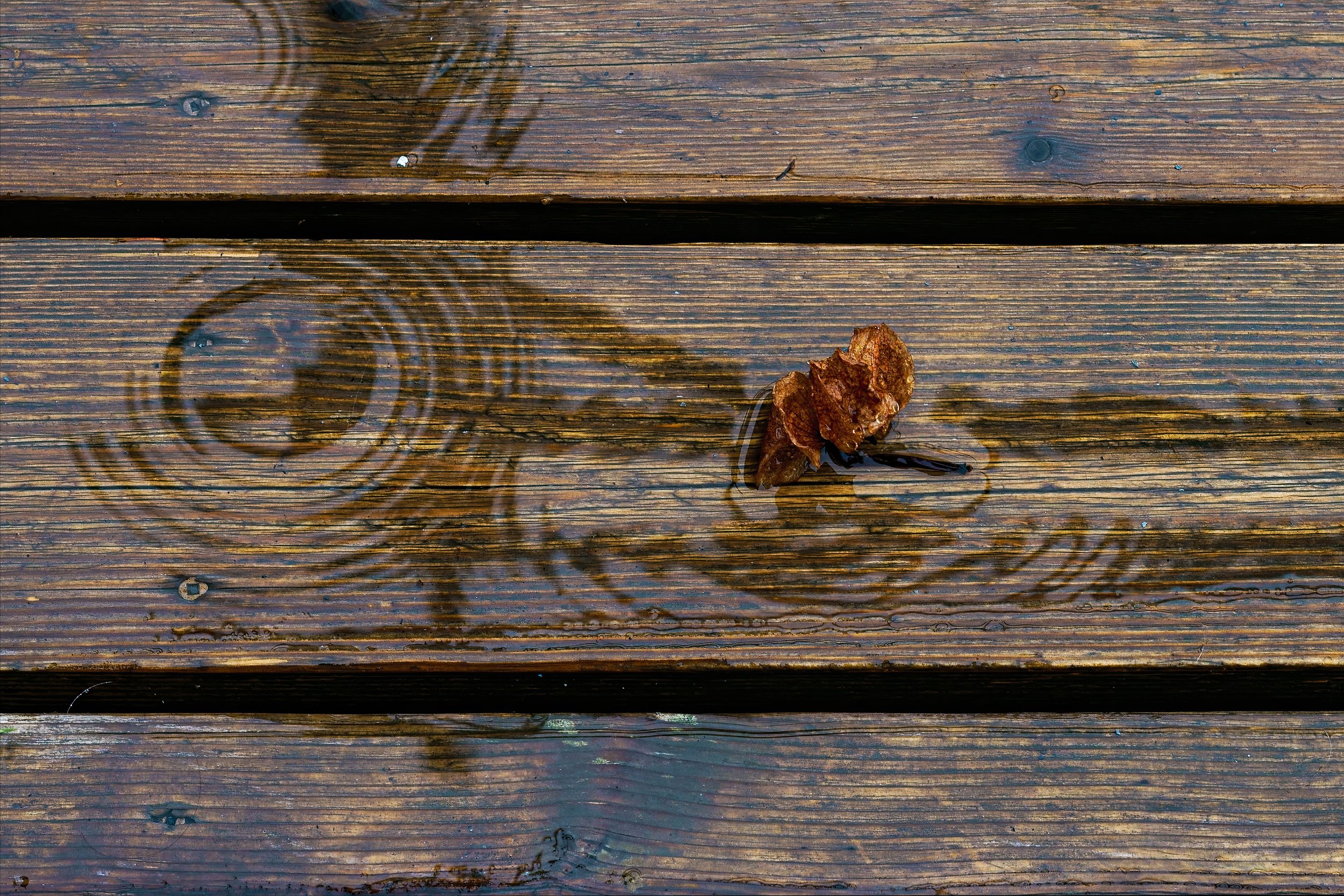 _ED_DSC8154-gigapixel.jpg