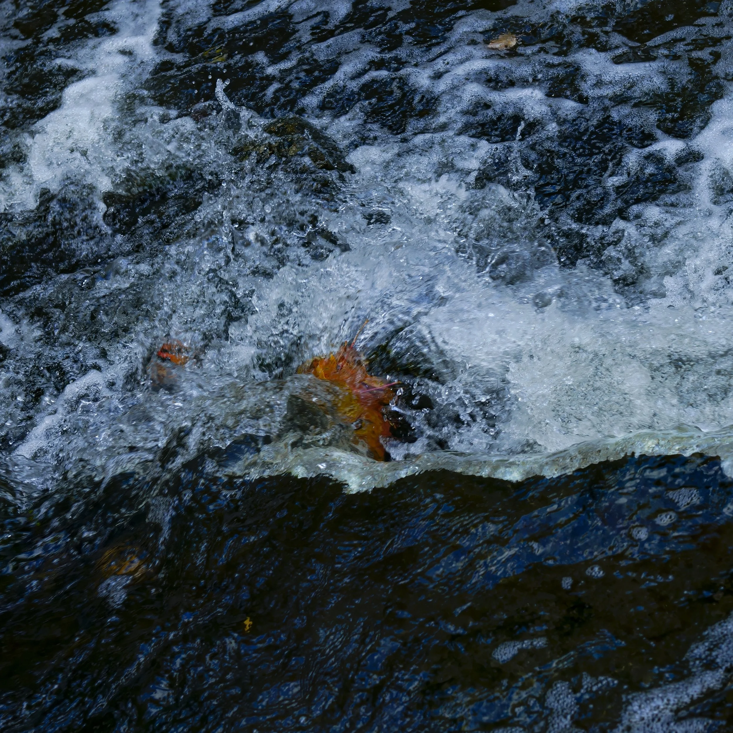 DSC9449.11.
