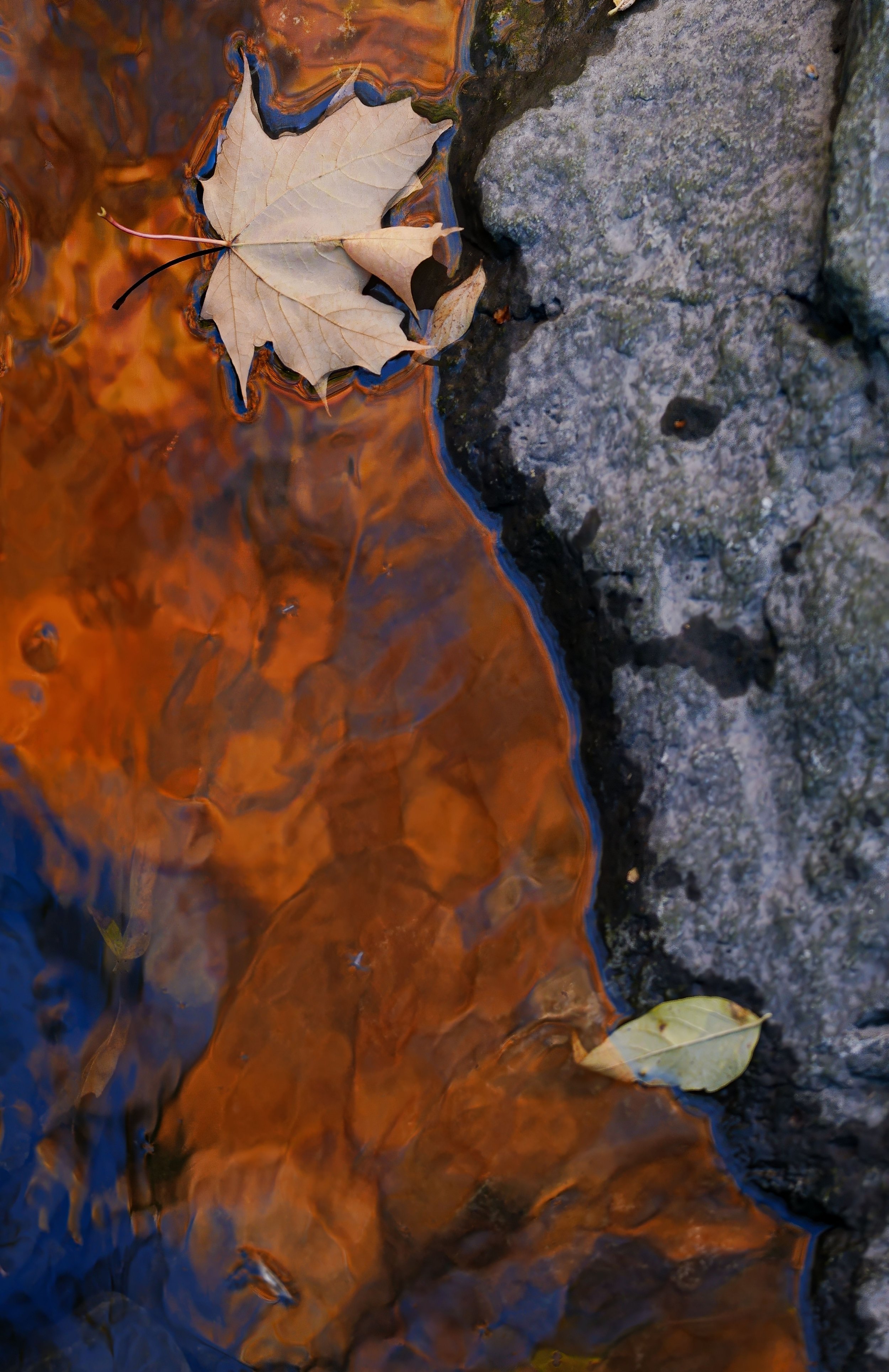 _DSC9555.jpg