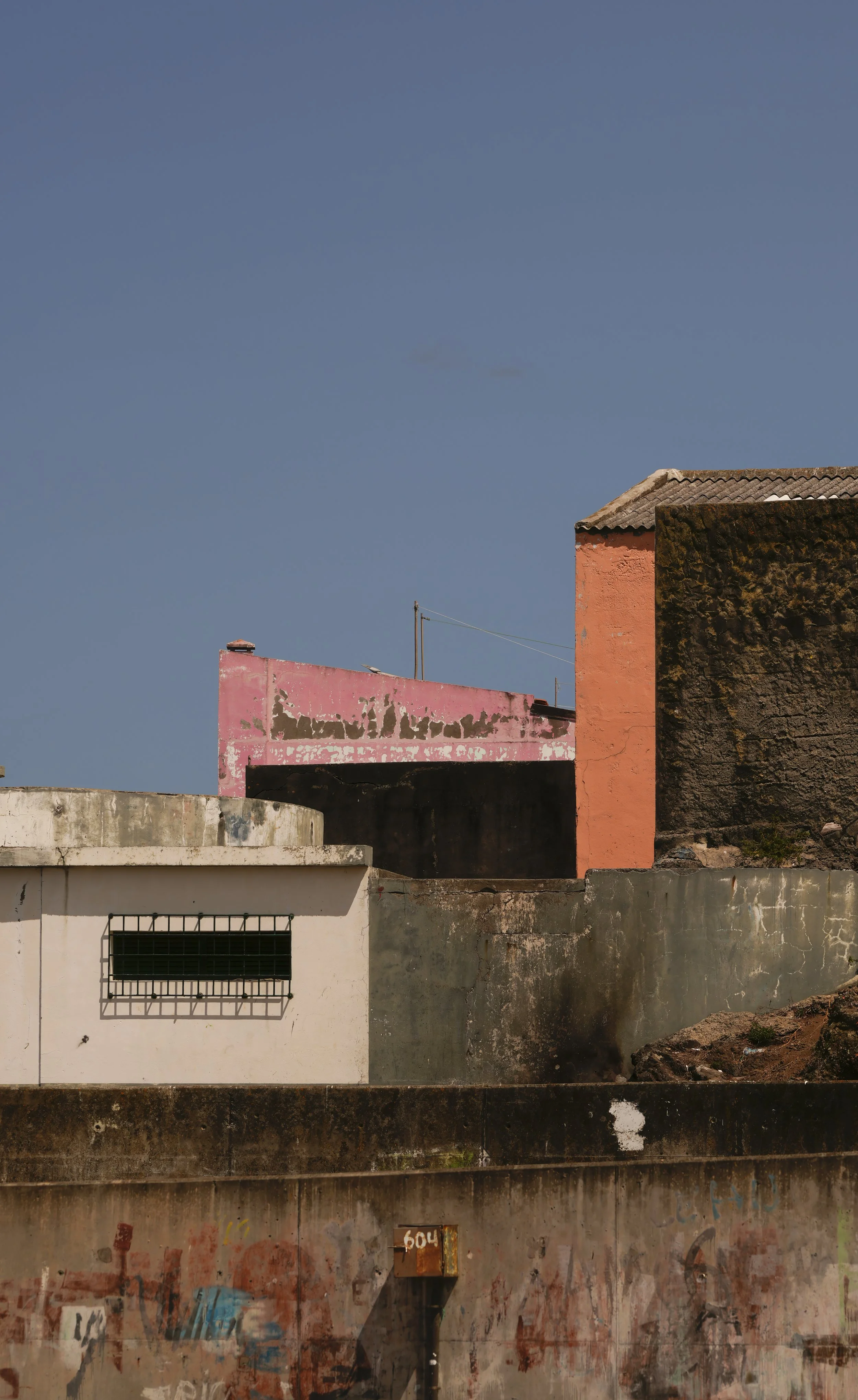 DSC5295