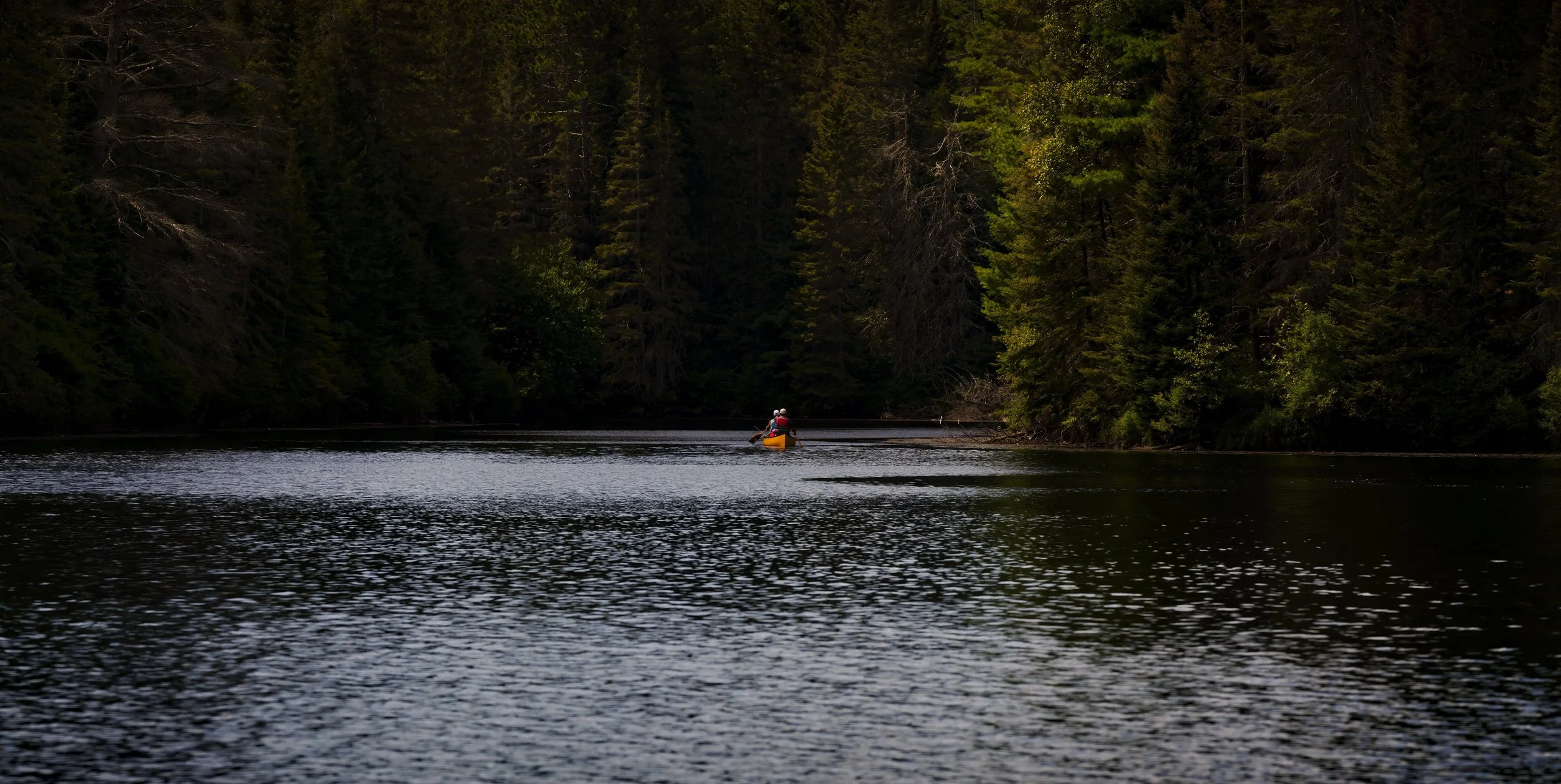 _DSC7829.jpg