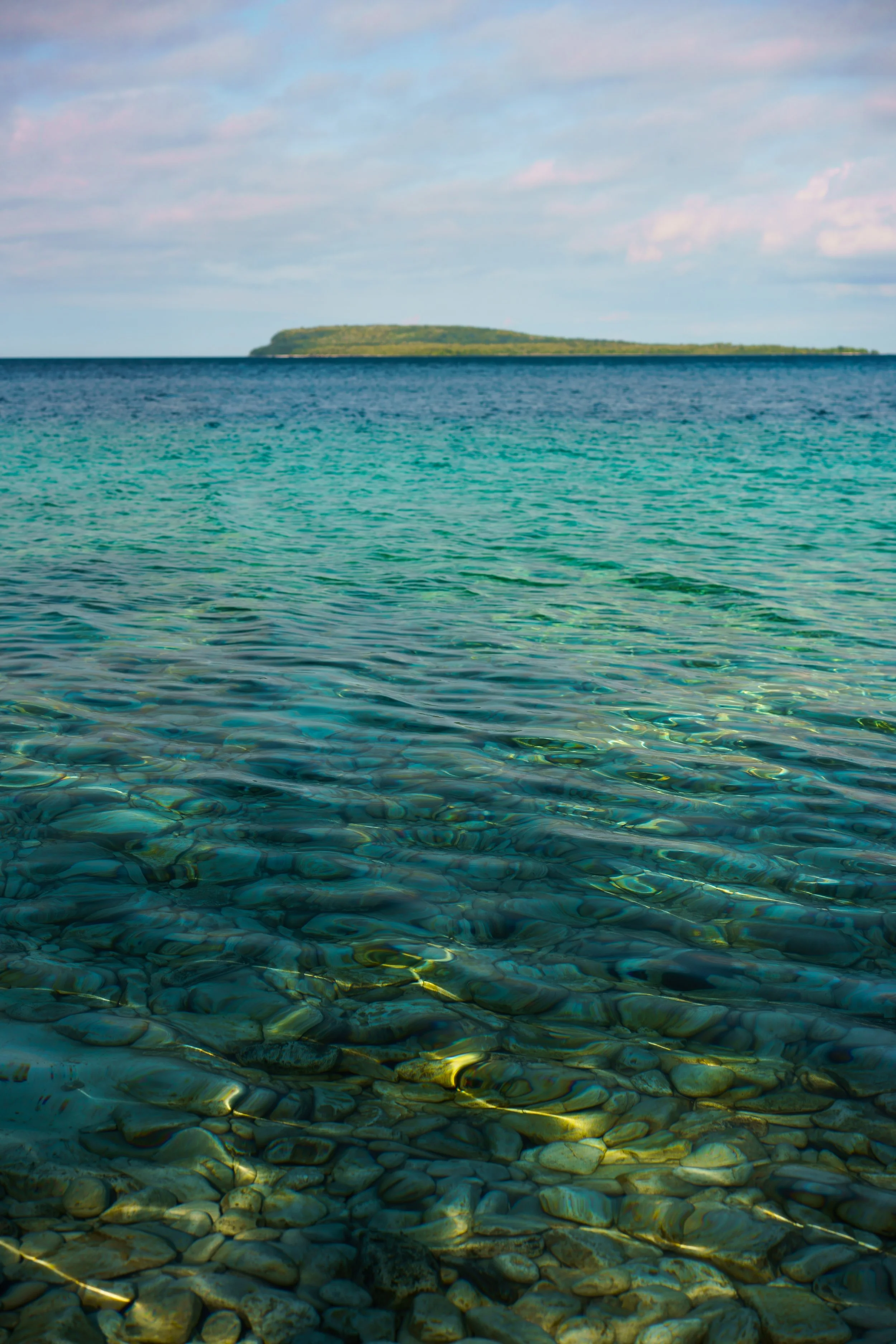 _DSC9815.jpg