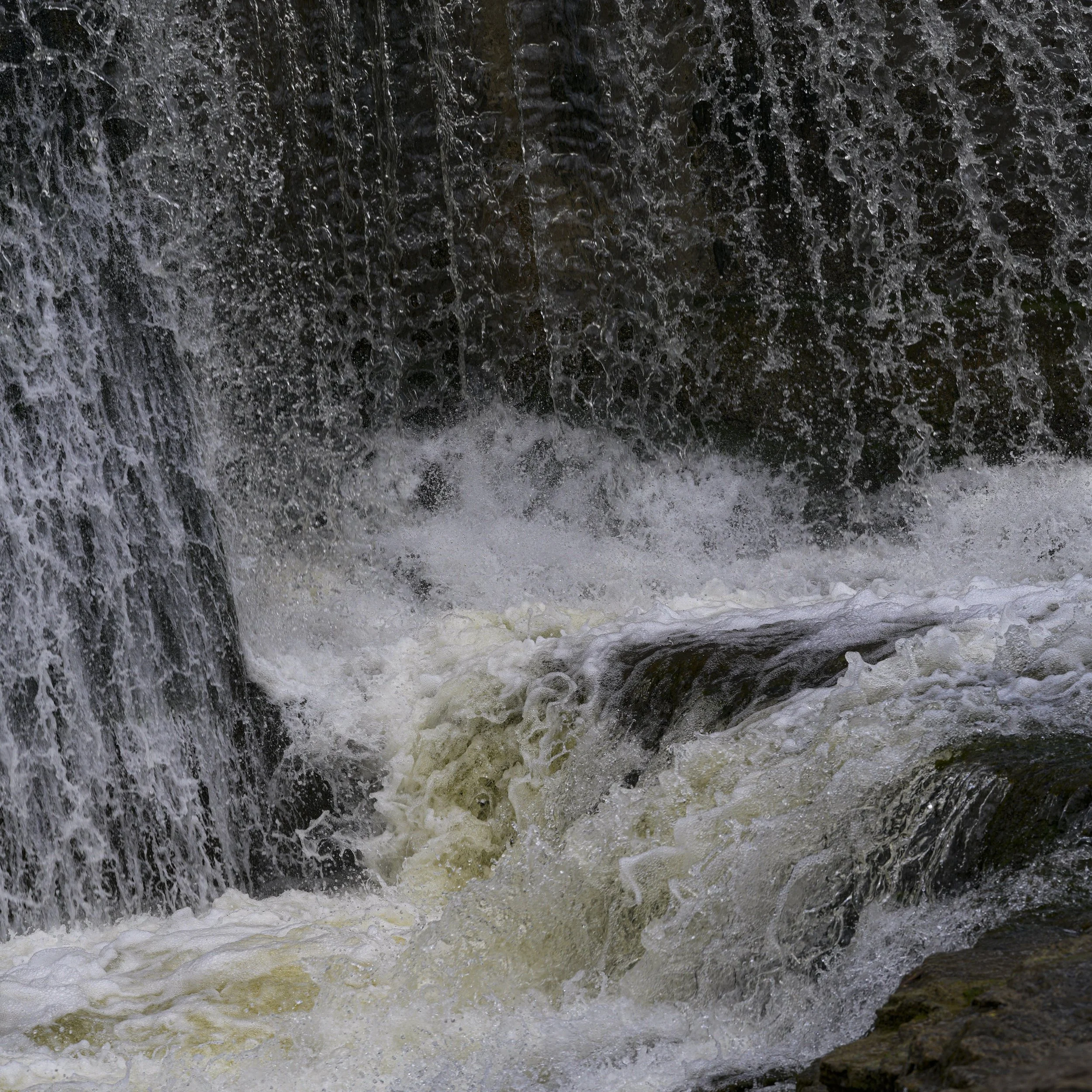 DSC0050