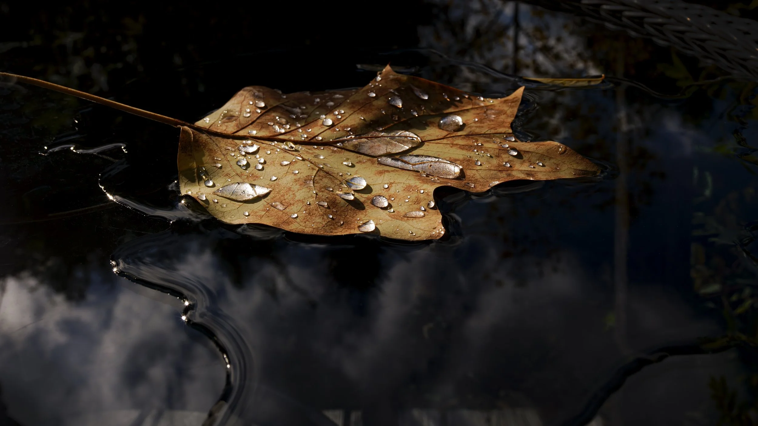 _DSC6956.jpg