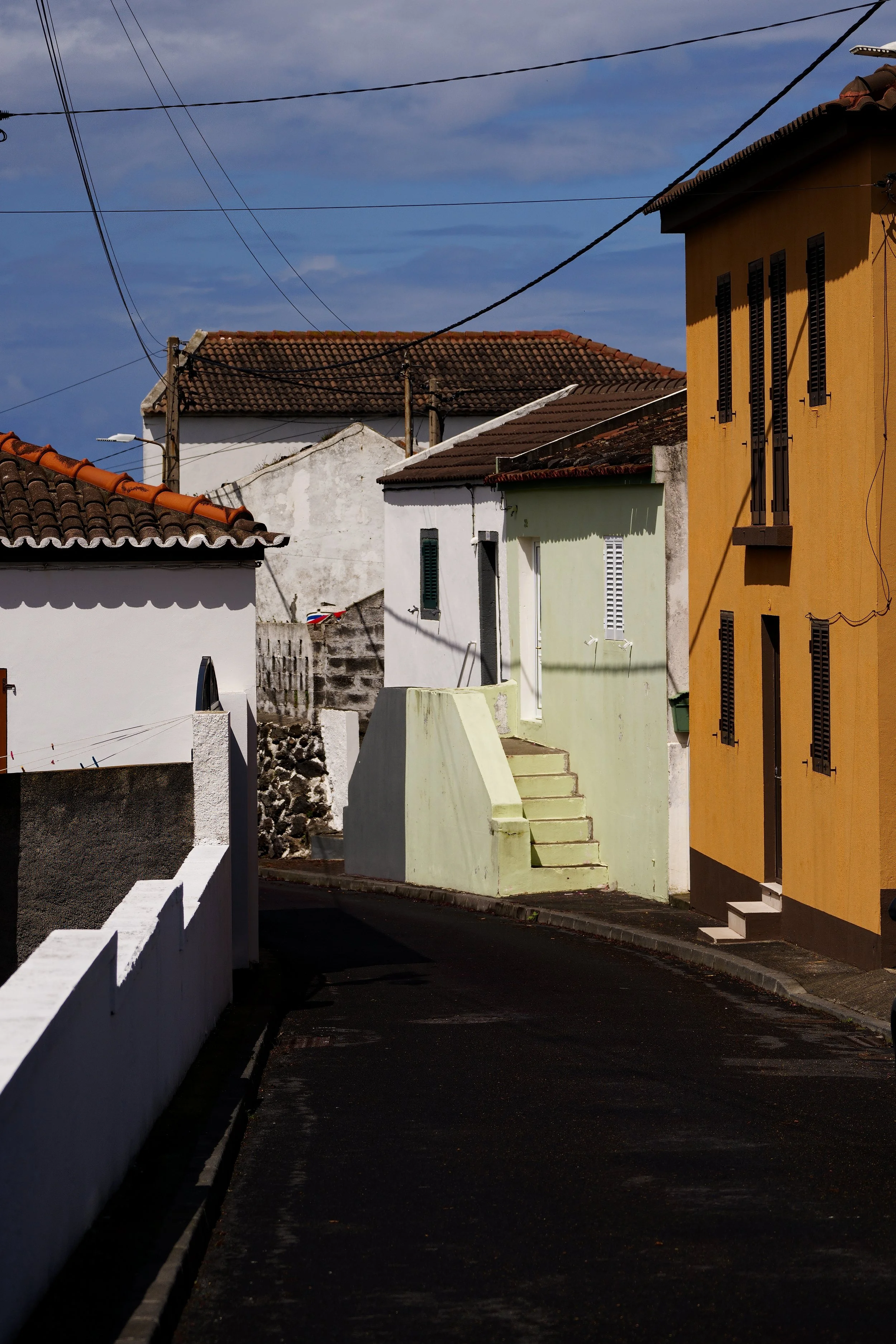 DSC4536