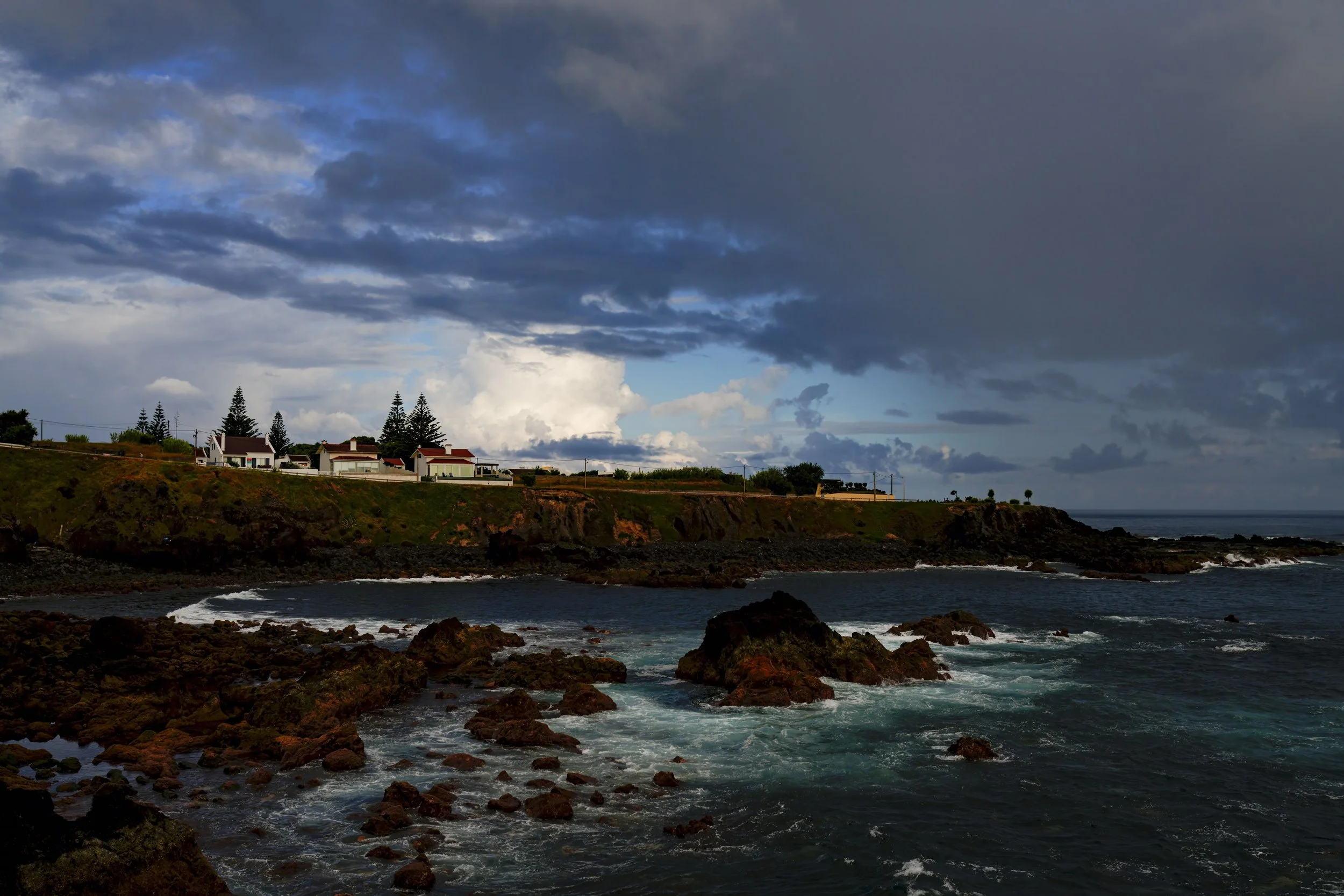 _DSC4480 copy.jpg