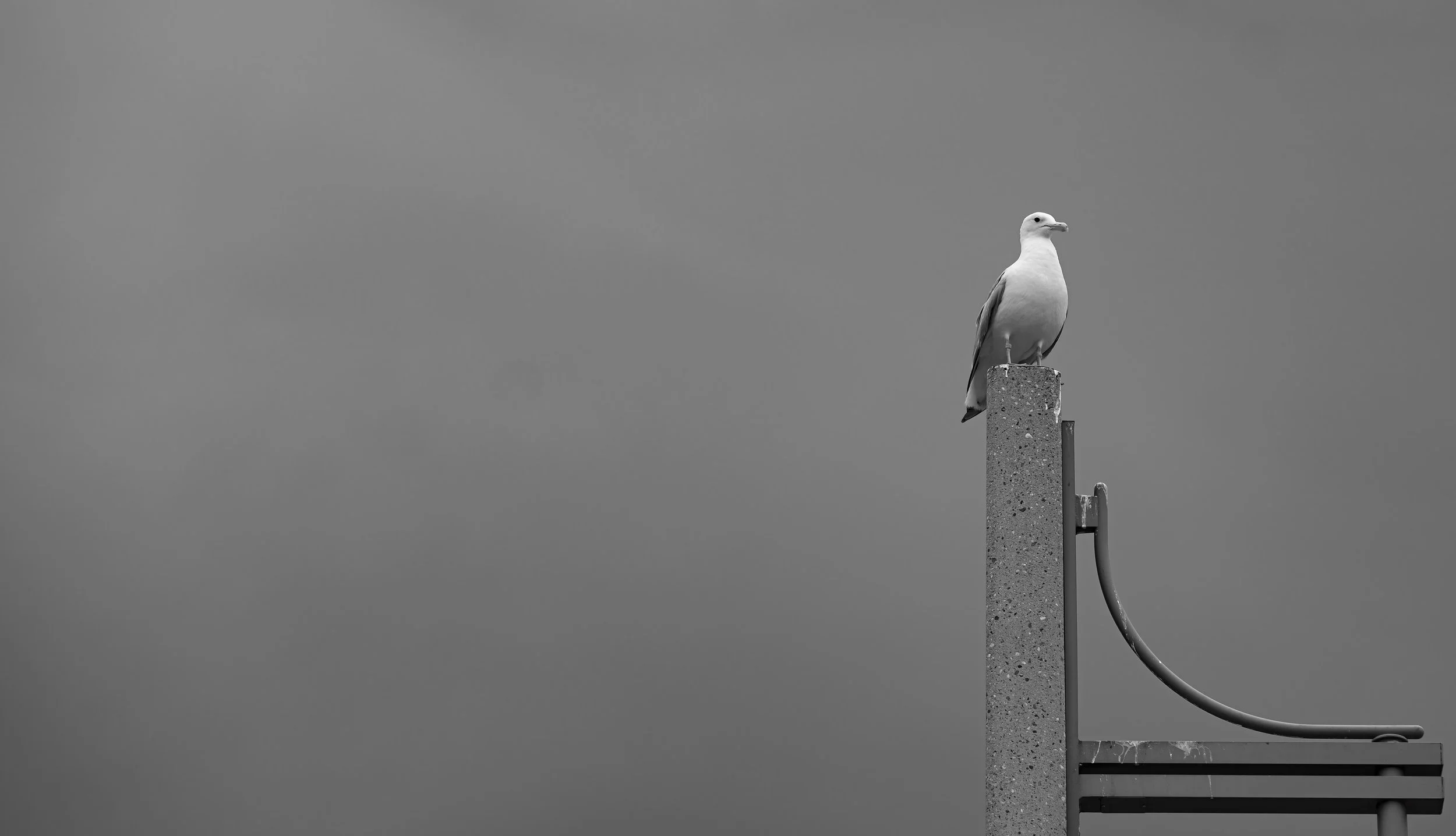 _ED_DSC1524-2-gigapixel.jpg