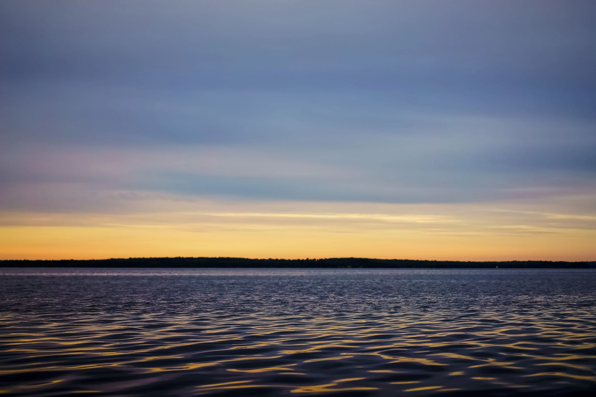 _DSC1140.jpg