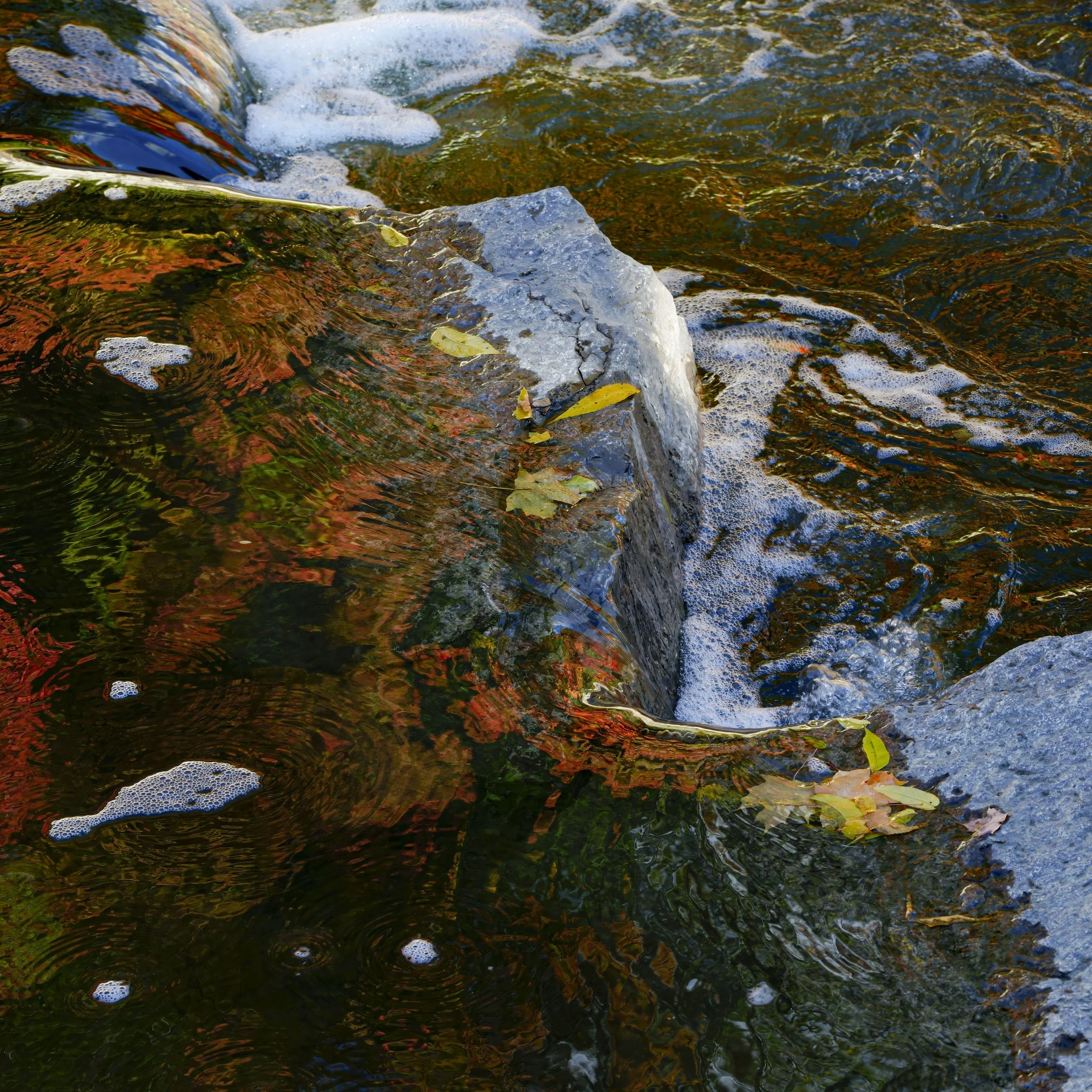 DSC9194.1.jpg