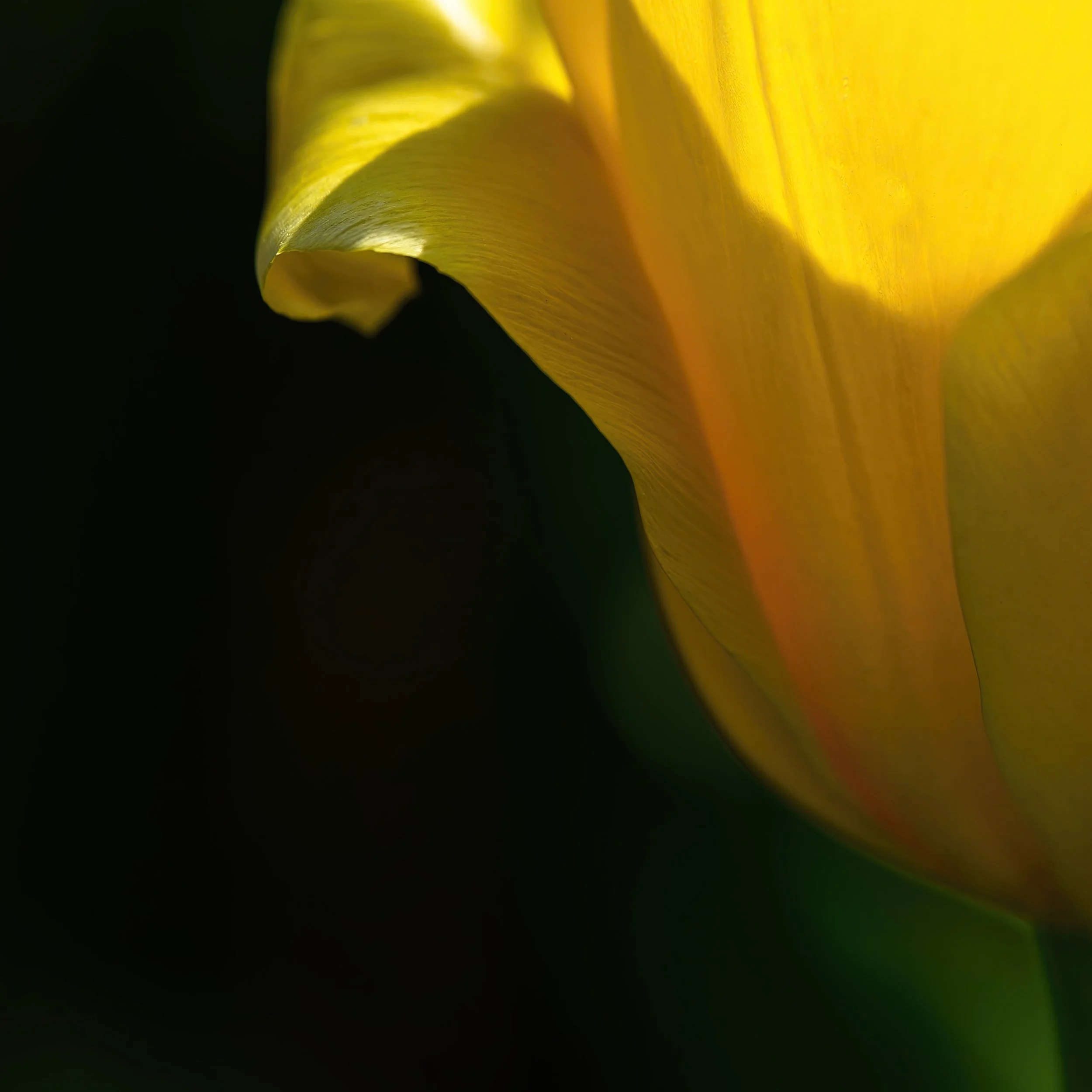 _ED_DSC8284-2-gigapixel.jpg