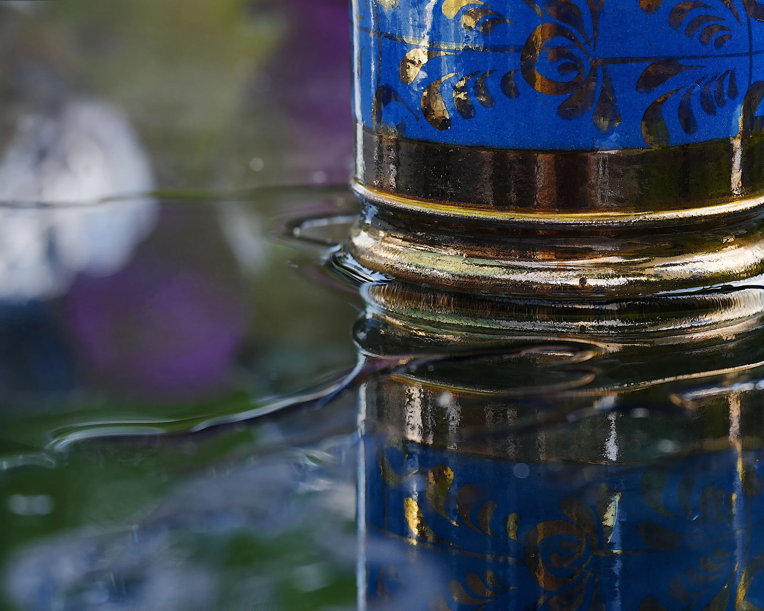 _DSC1055-topaz-sharpen-enhance-2x.jpg