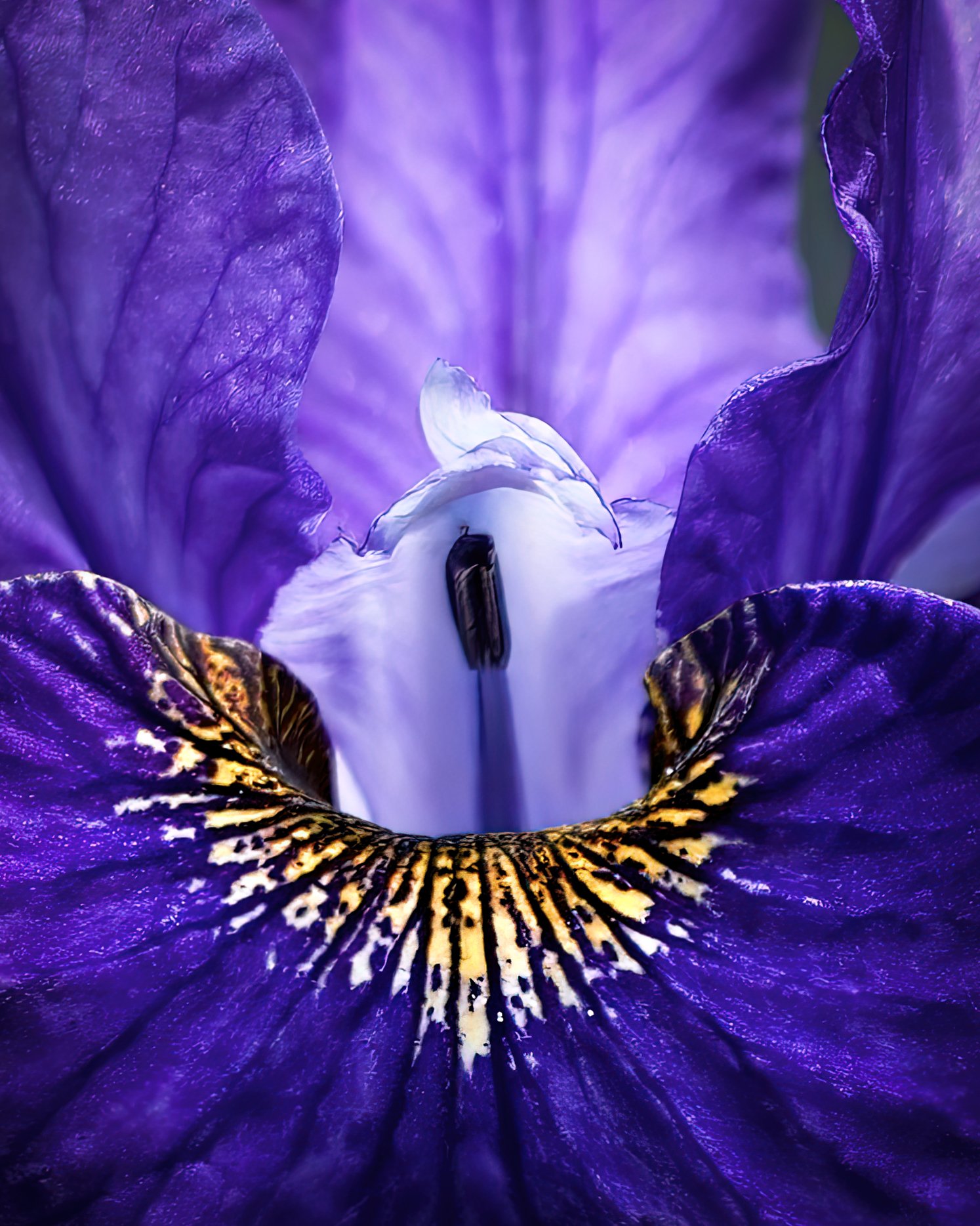 _DSC0374.1.jpg