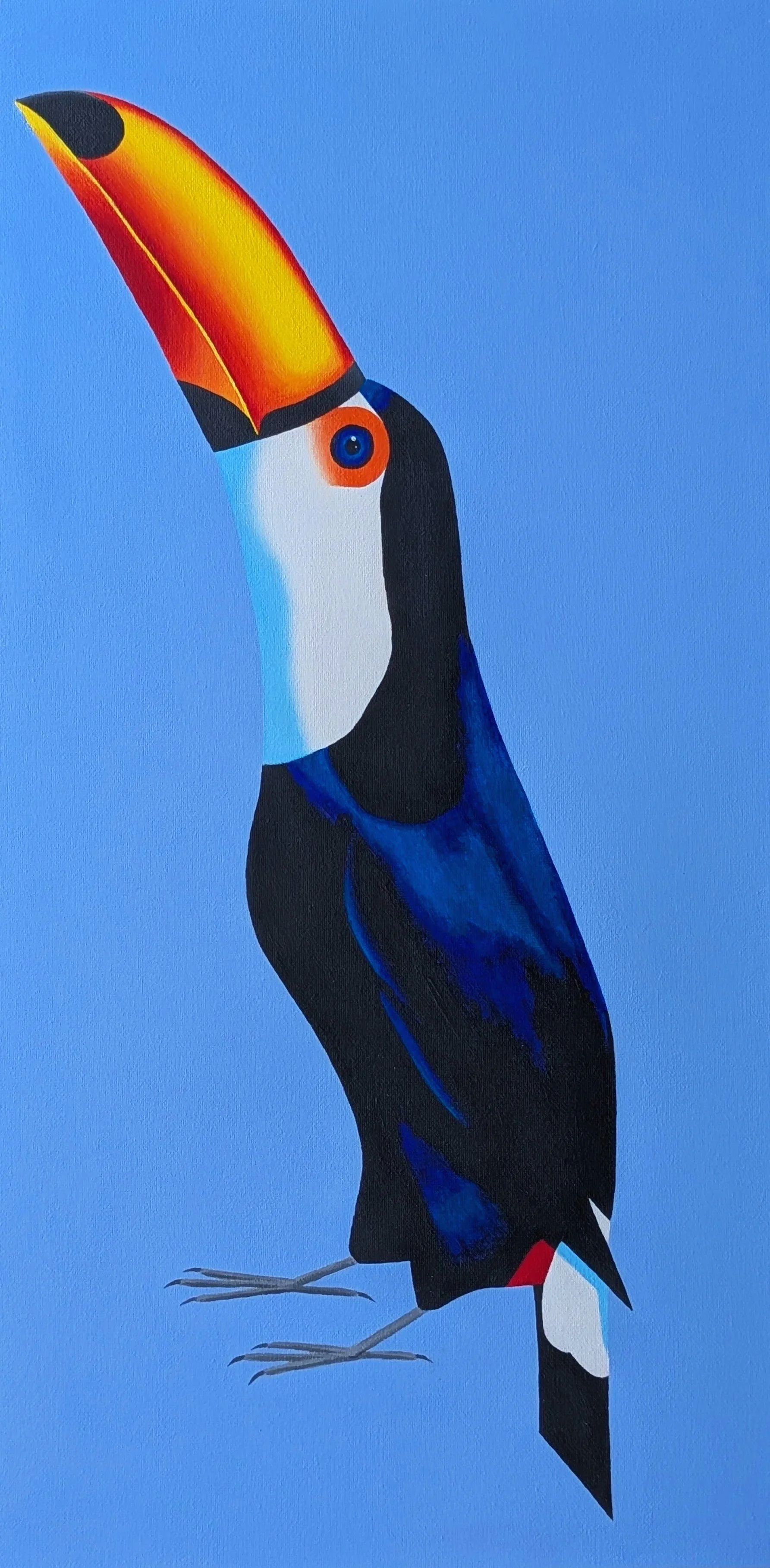 Defensive Toucan
Acrylic on Canvas
12x24