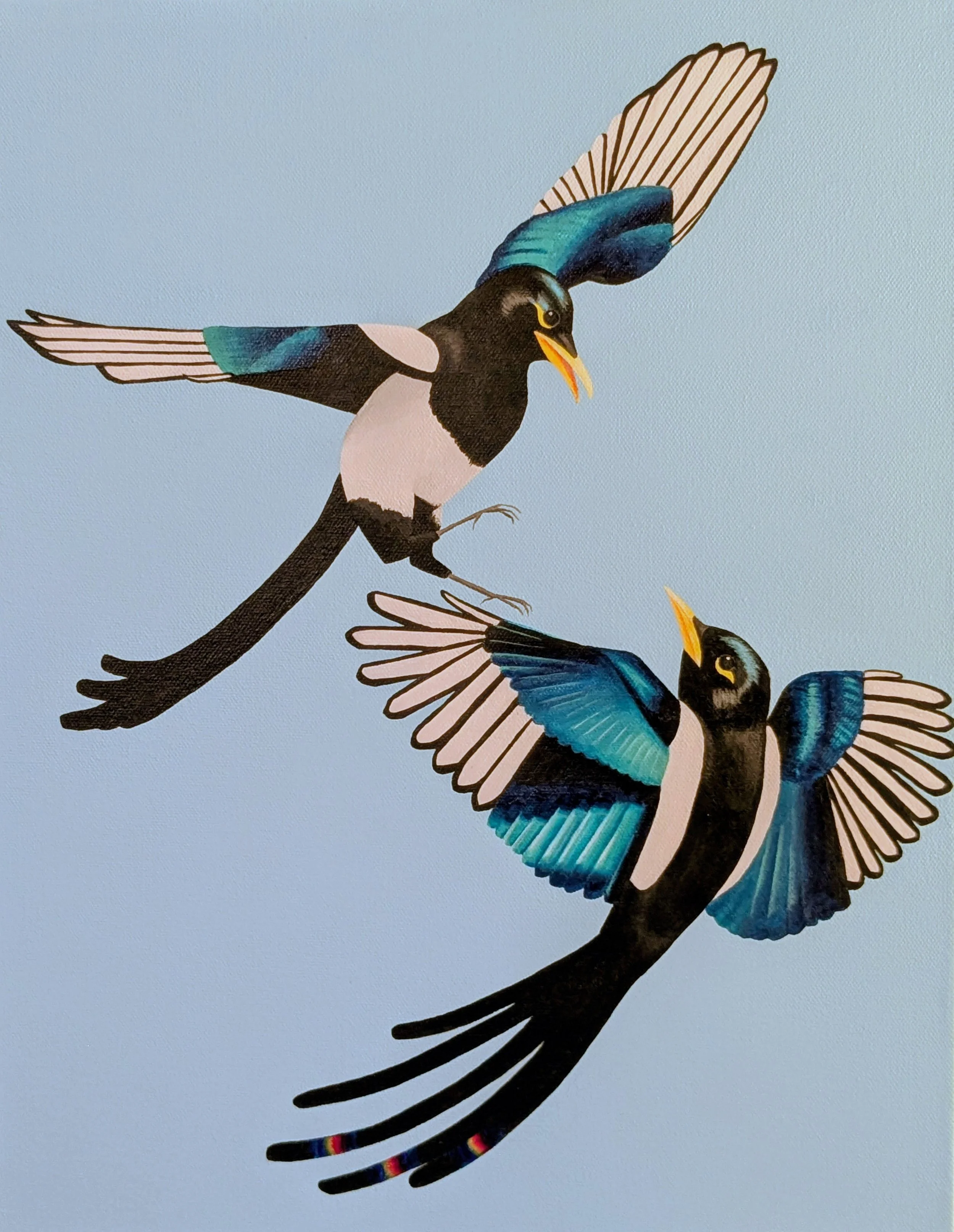 Fighting Magpies
Acrylic on Canvas
14x18