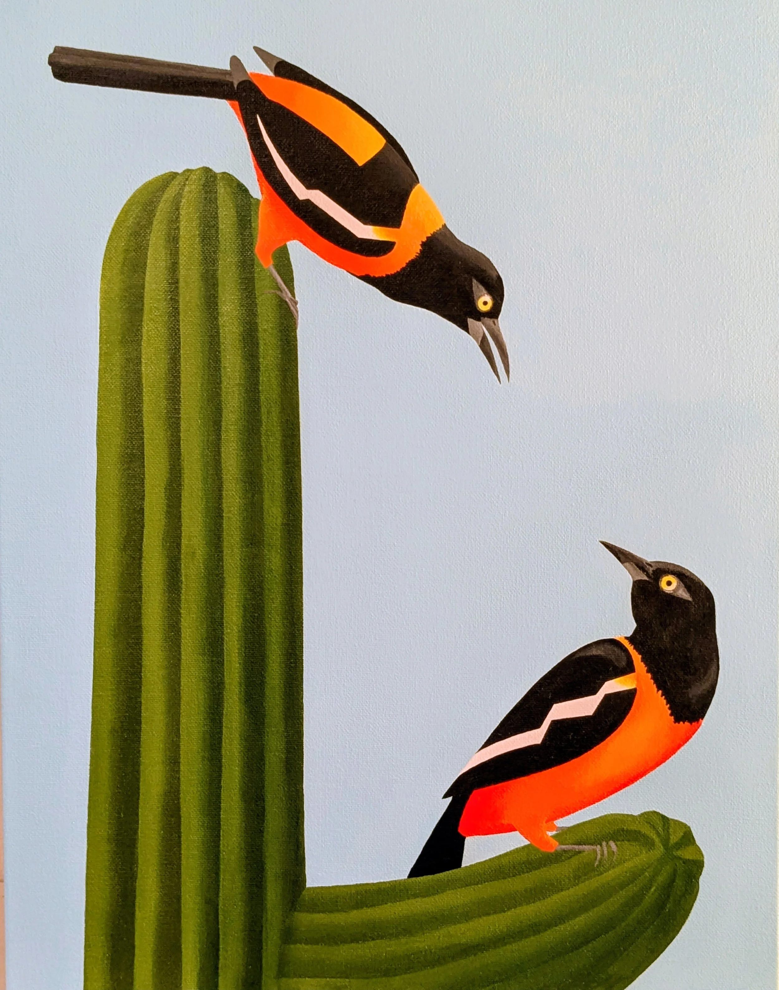 Troupial Pair
Acrylic on Canvas
14x18
