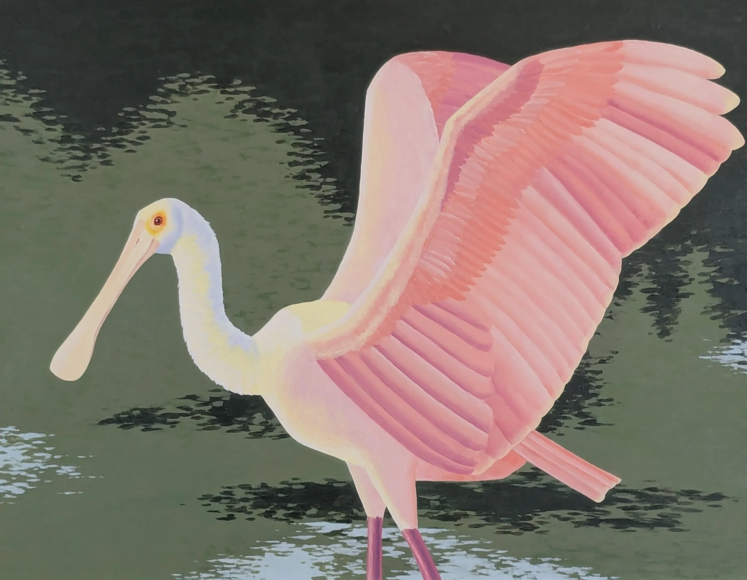 Spoonbill
Acrylic on Canvas
28x22