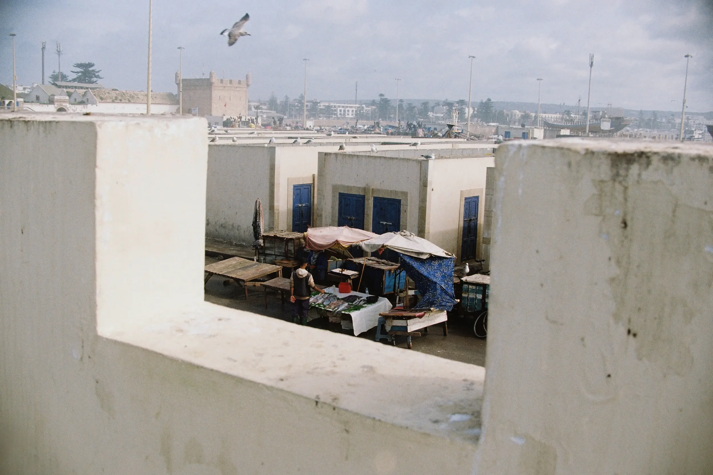 Vista de un mercado de pescado y mariscos visto a través de una ventana con un marco en forma de cuadrado, en la ciudad de Tánger, con un castillo en el fondo y palmeras.