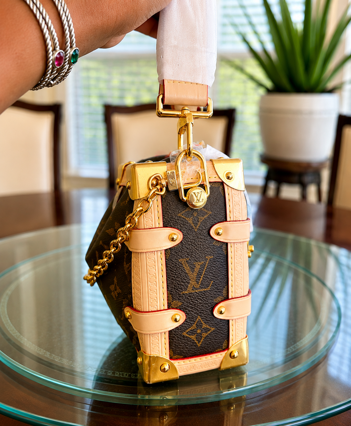 LV Side Trunk Side View.PNG