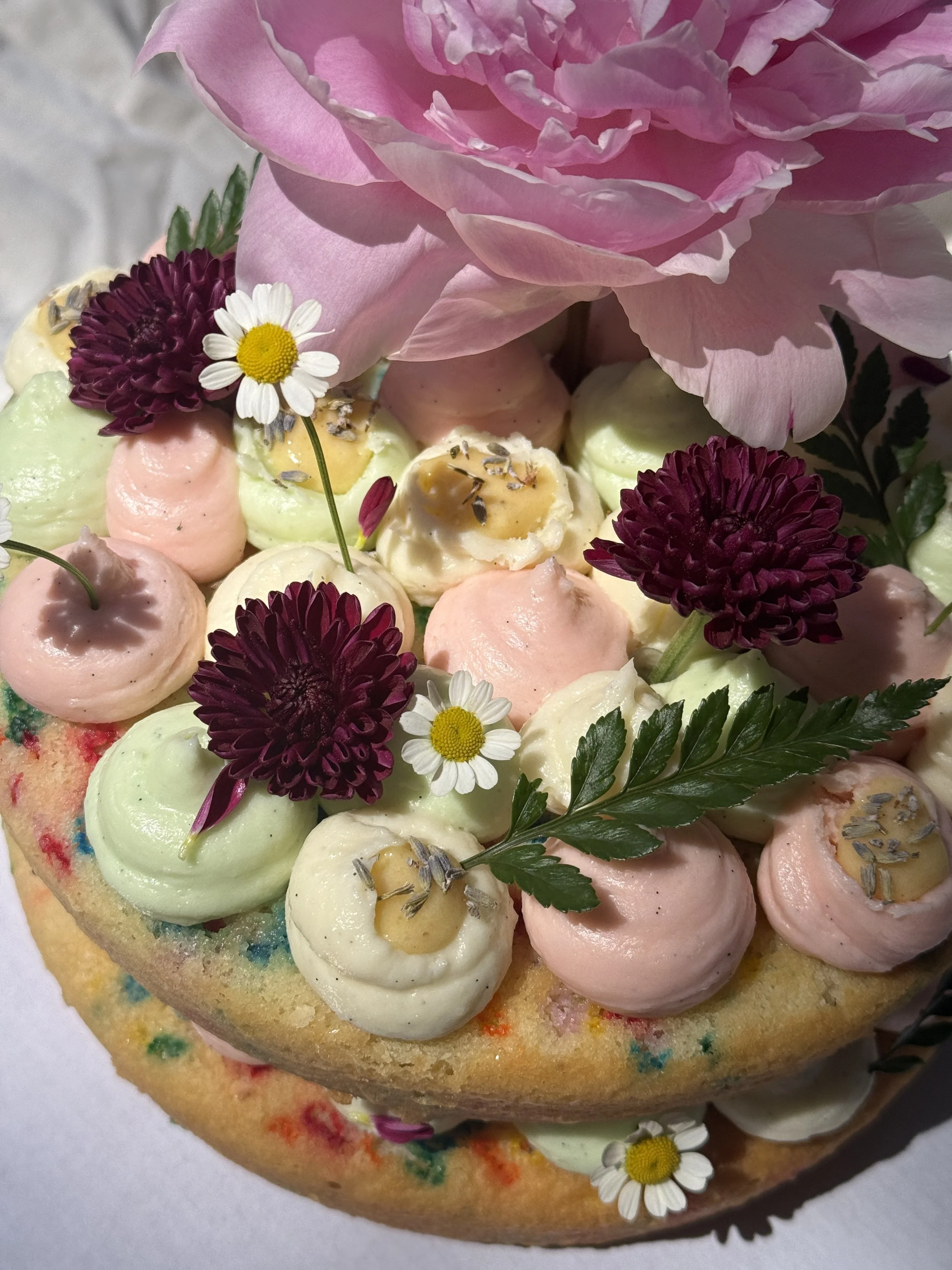 vanilla funfetti bubble sponge with a lavender lemon curd & whipped cream cheese