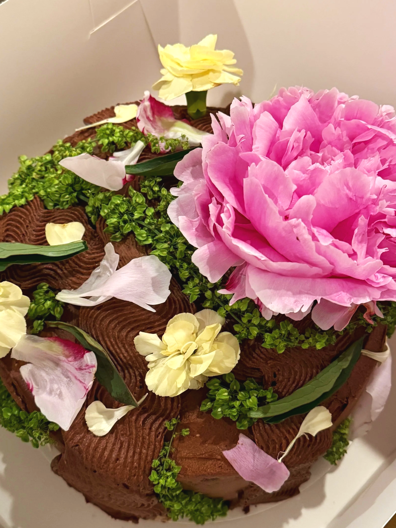 rye chocolate cake with hazelnut chocolate custard, sweet woodruff cream & german chocolate BC