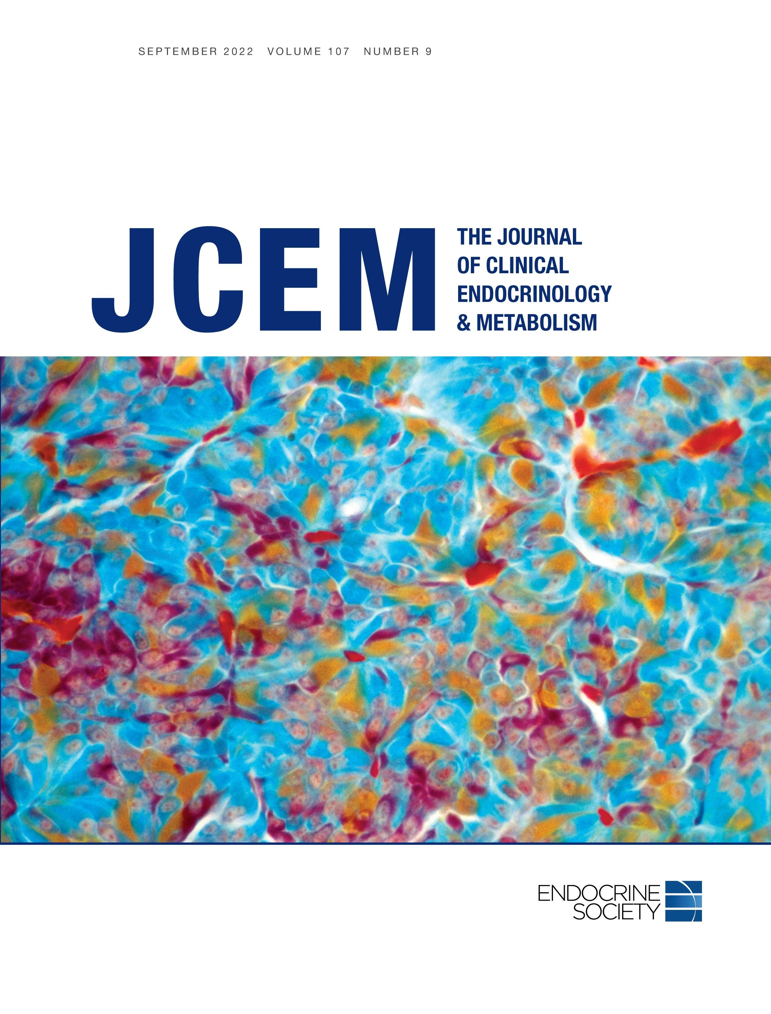 Continuation of Gender-affirming Hormones Among Transgender Adolescents and Adults