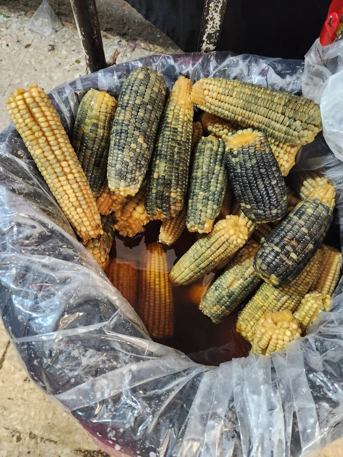 Blue Corn