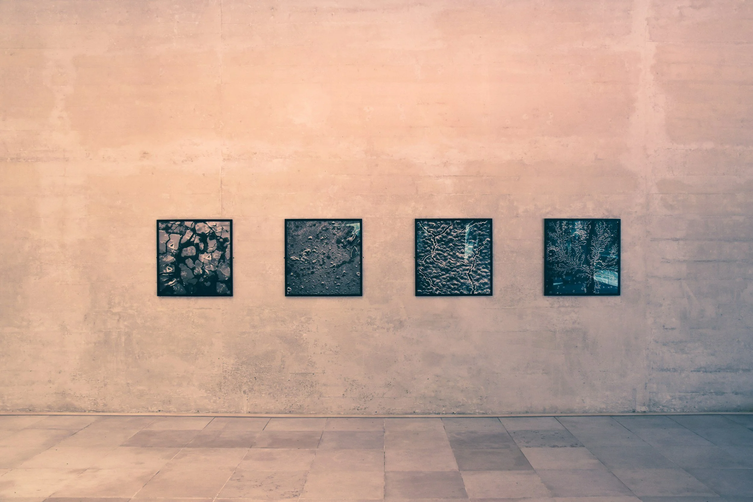 Four framed photographs hanging on a plain, light-colored wall in an art gallery.