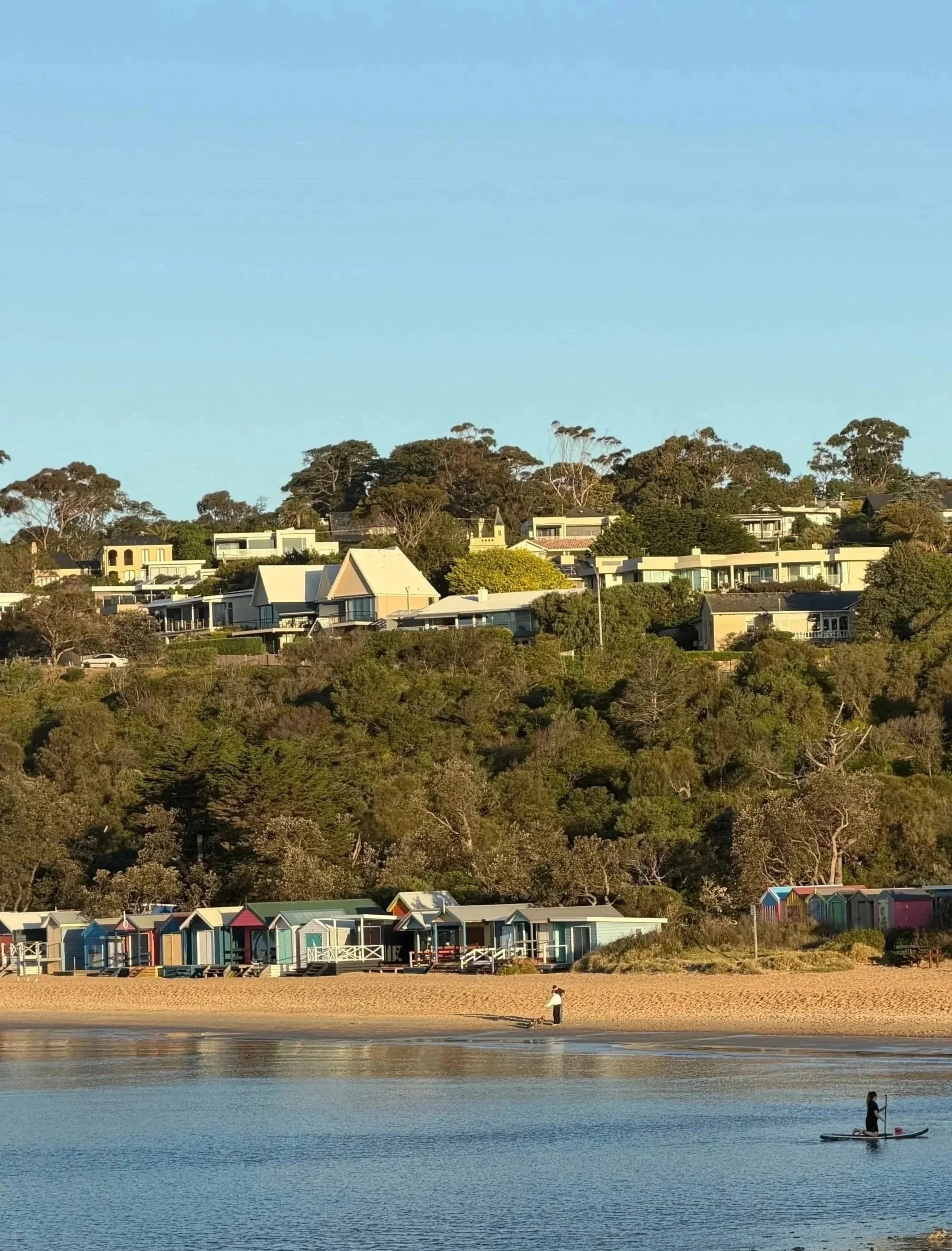 A person paddleboarding on calm water with a background of houses and trees on a hill under a clear blue sky.