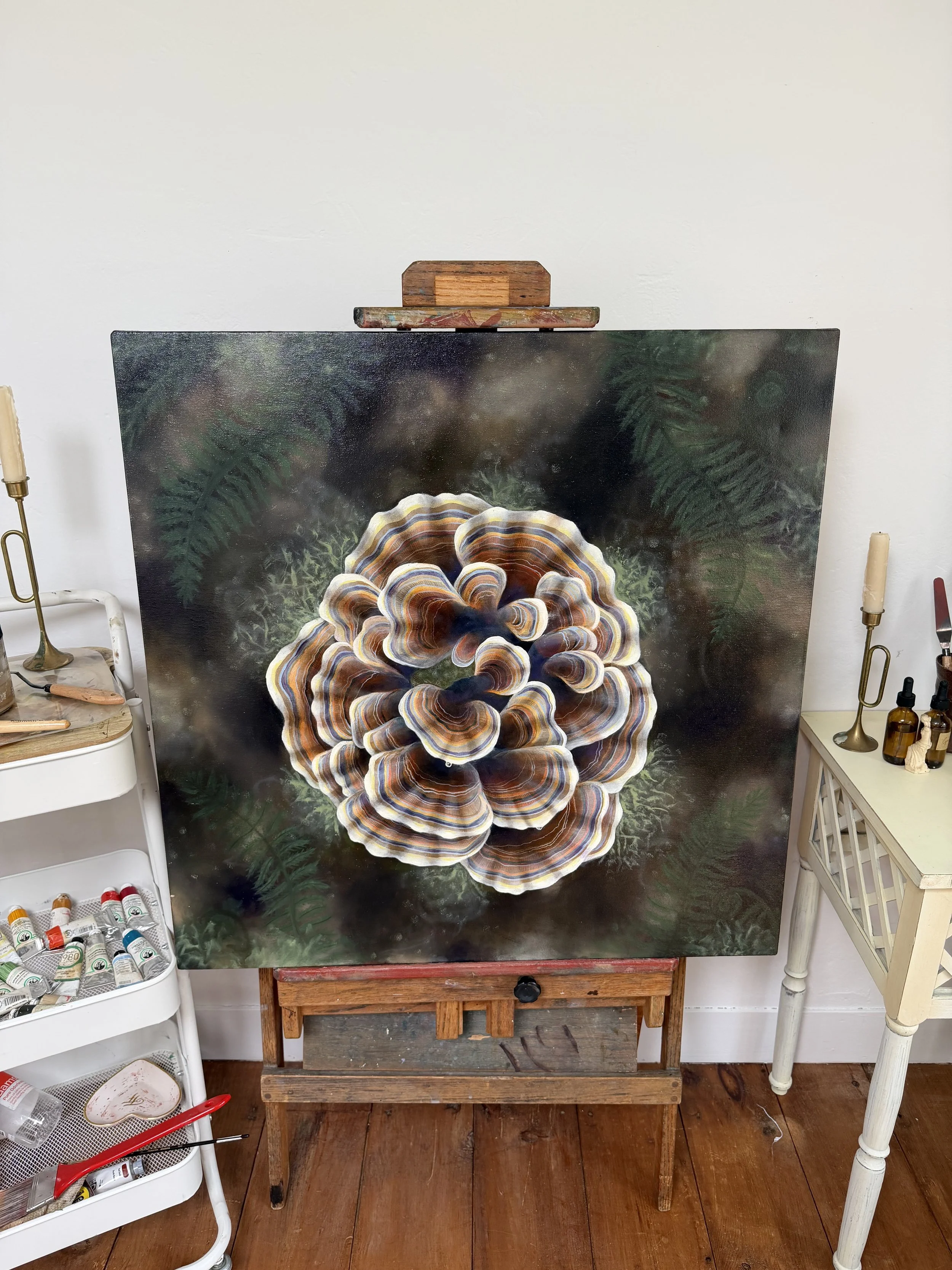 Bloom | Original Painting