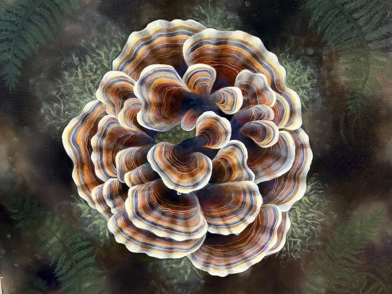 Bloom an original oil painting by Danielle Masters based on a turkey tail mushroom