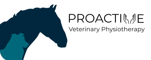 Proactive Veterinary Physiotherapy