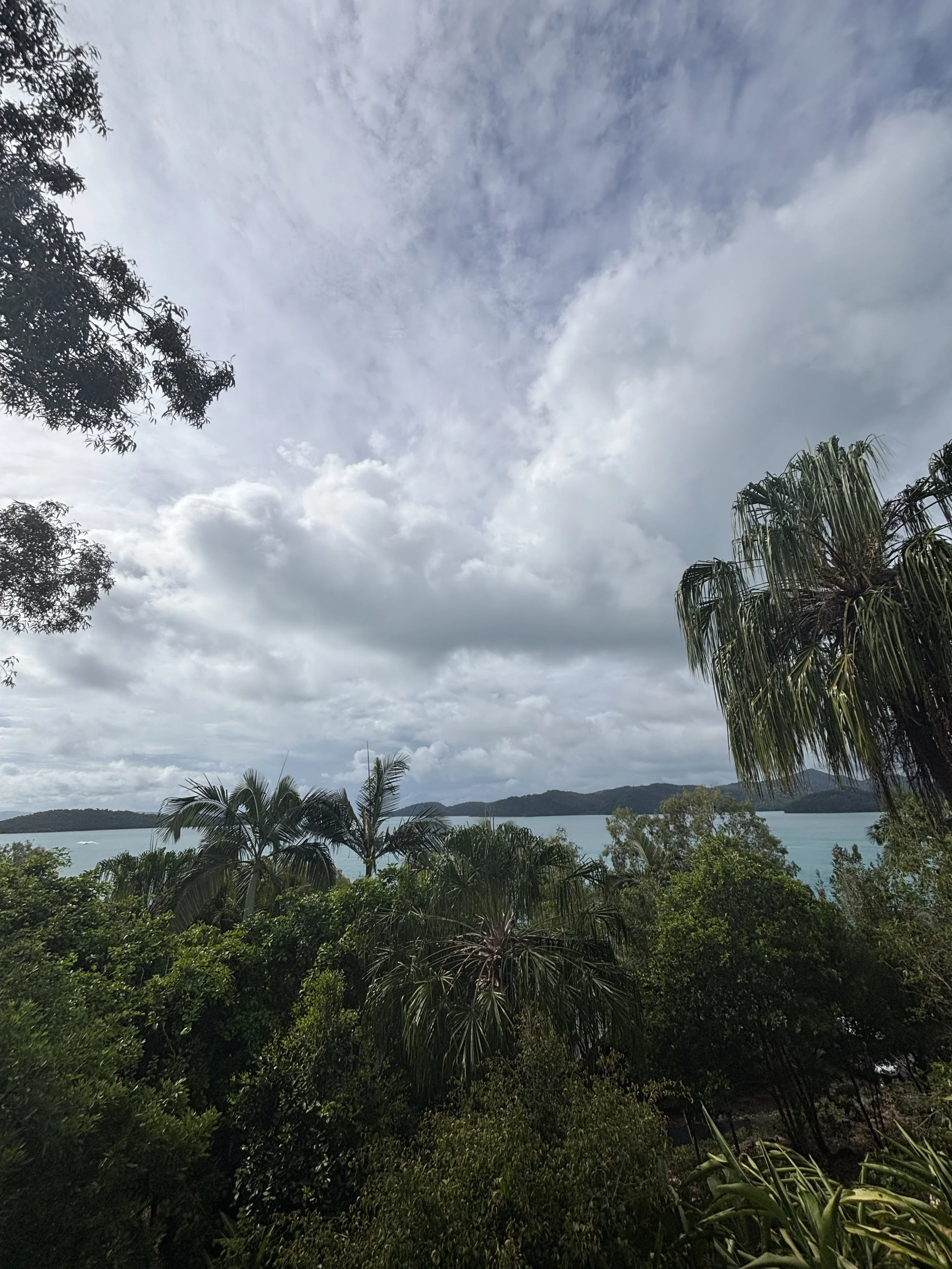 View of the ocean with a mountainous island in the distance, surrounded by lush green trees and vegetation in the foreground, under a cloudy sky.