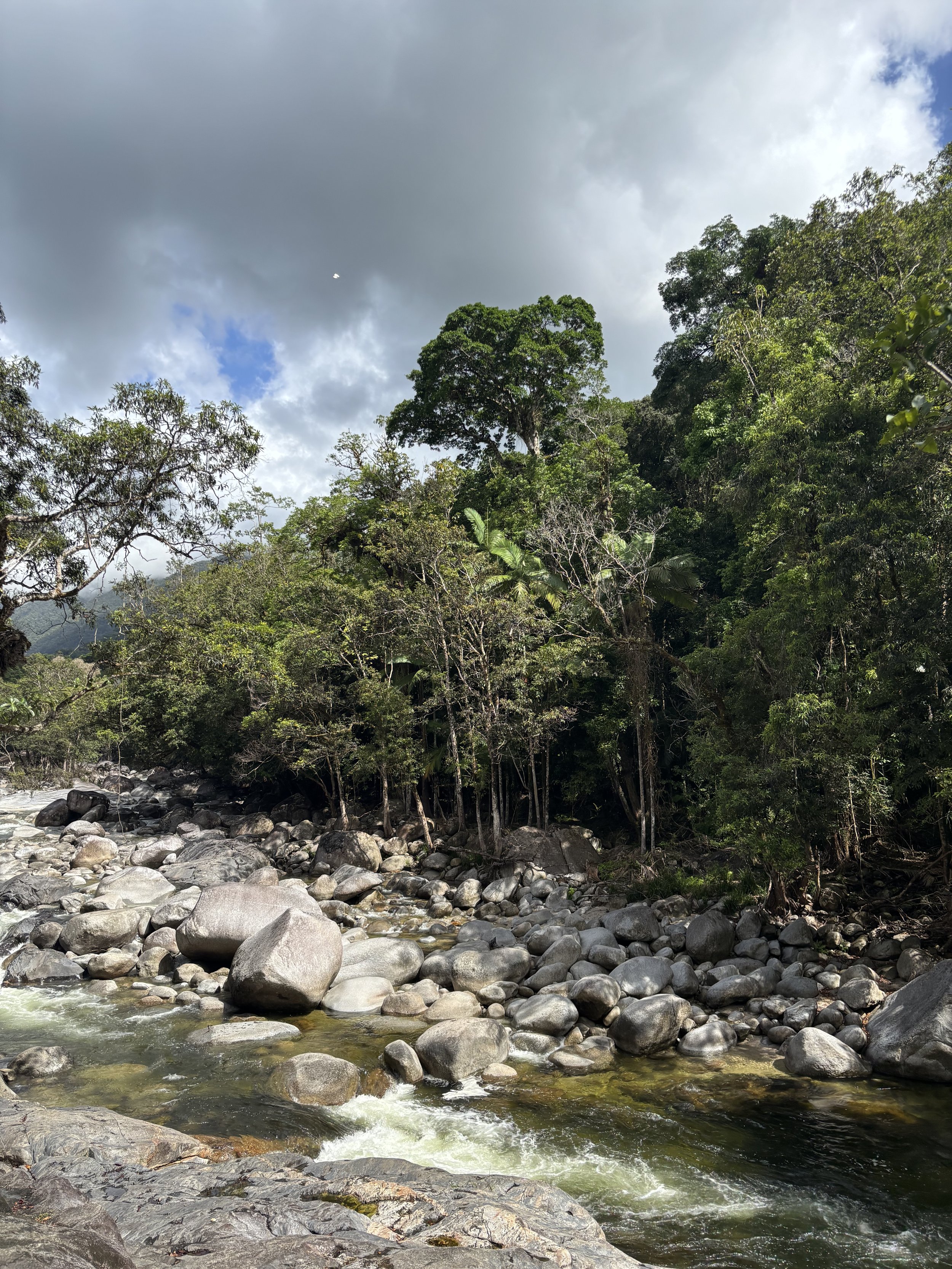 A fast-moving river with rocks and pebbles flowing through a lush green forest under a cloudy sky.