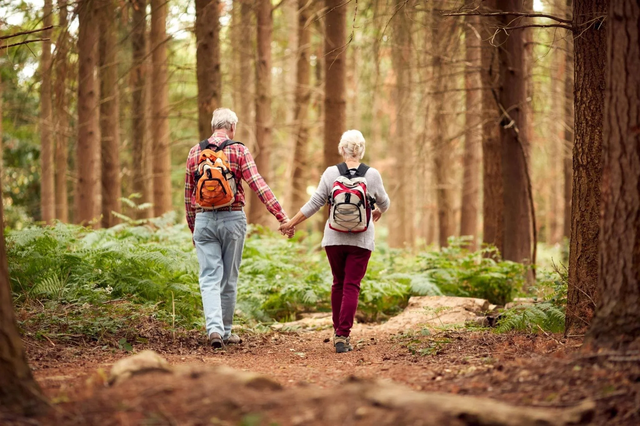 Therapy for Older Adults: What Helps and How to Begin