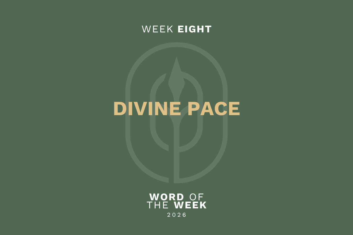 Divine Pace
