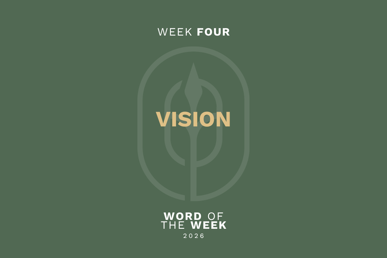 Vision