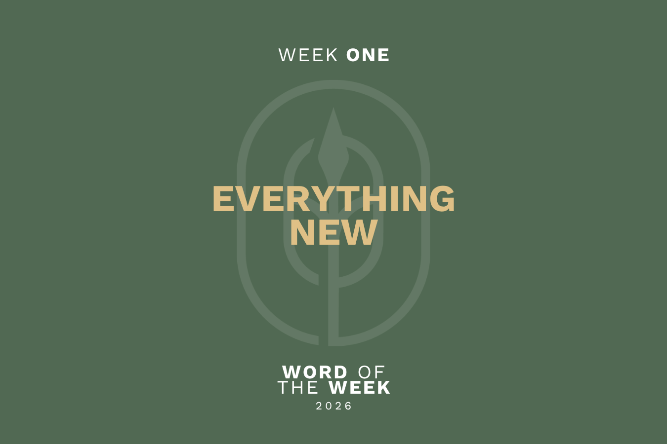 Everything New