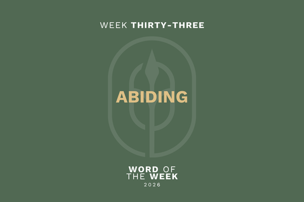 Abiding (The Secret Weapon to Victory)