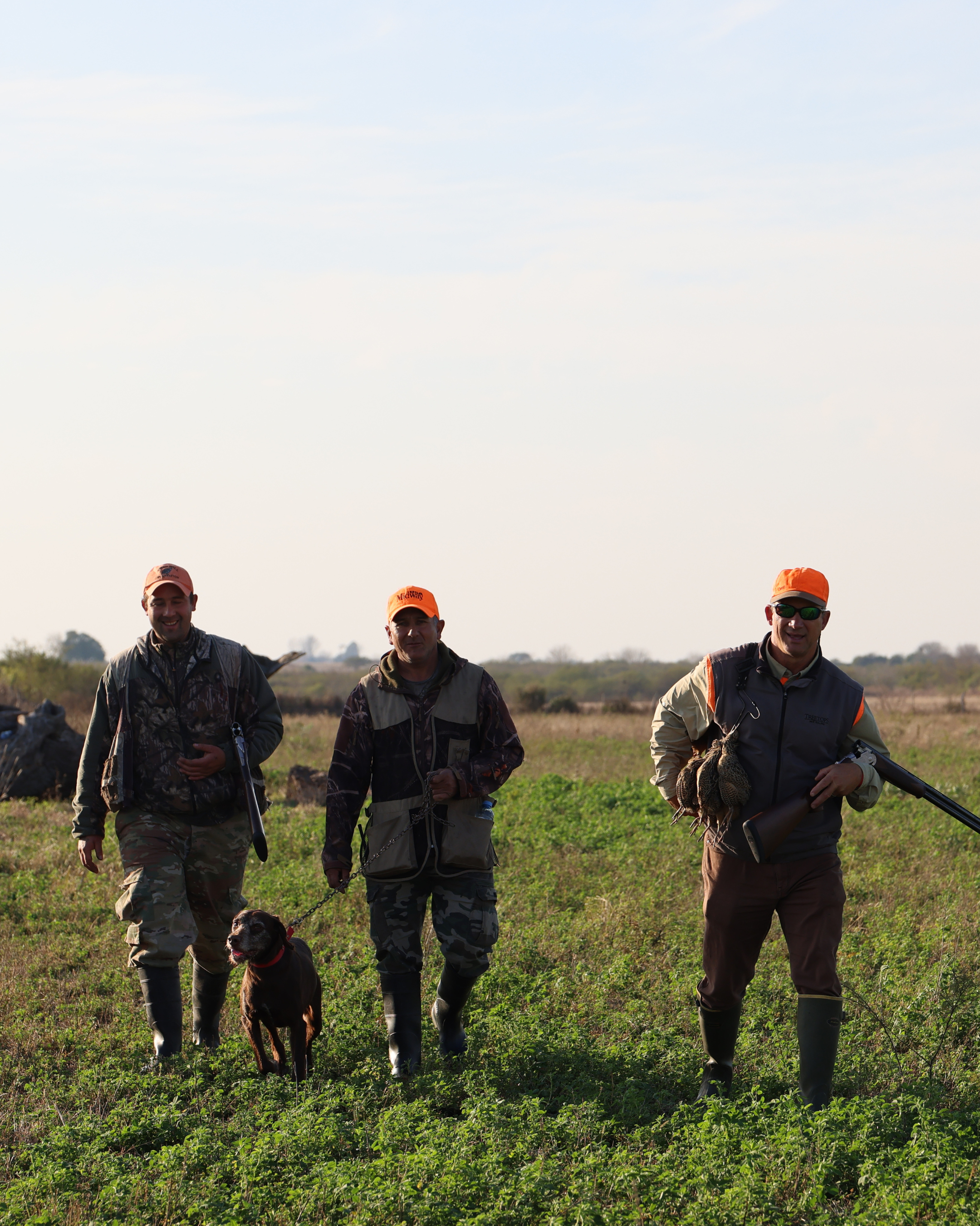 Four hunters walking in a field with their dog, all wearing hunting gear and orange hats, during daytime.