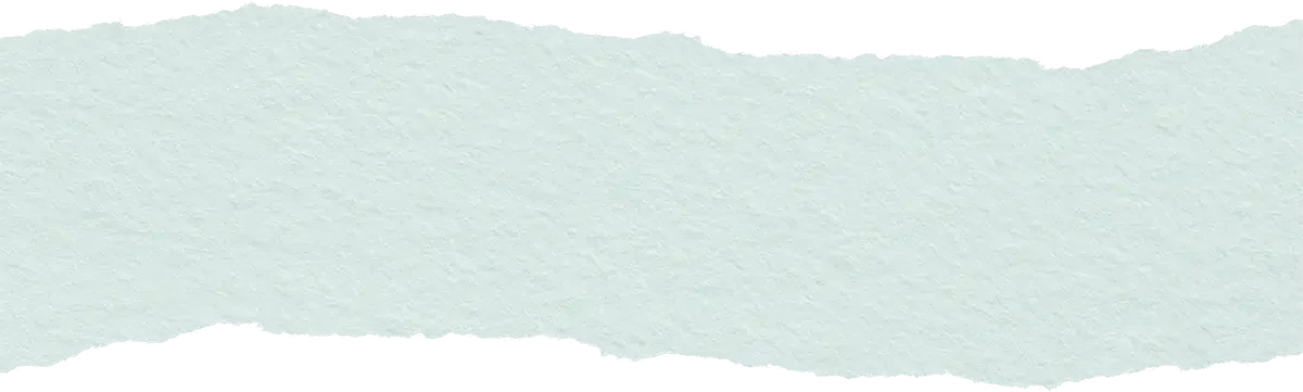 An organic edged piece of paper detail with a textured surface against a plain background.